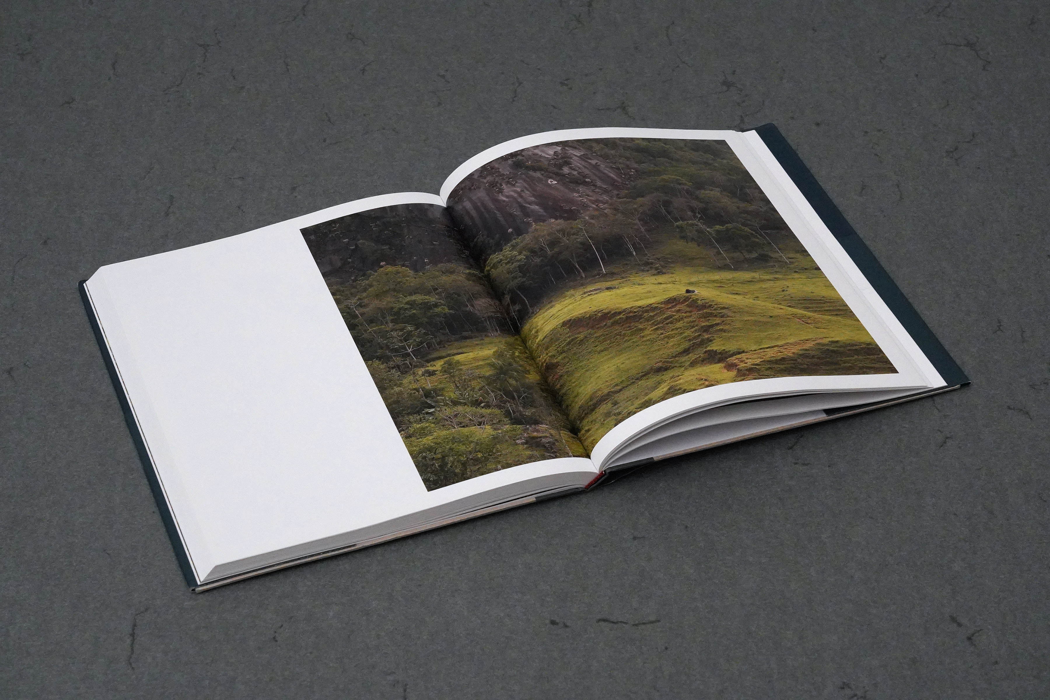 Martin Robert Lutz – Grafikdesign und Buchgestaltung