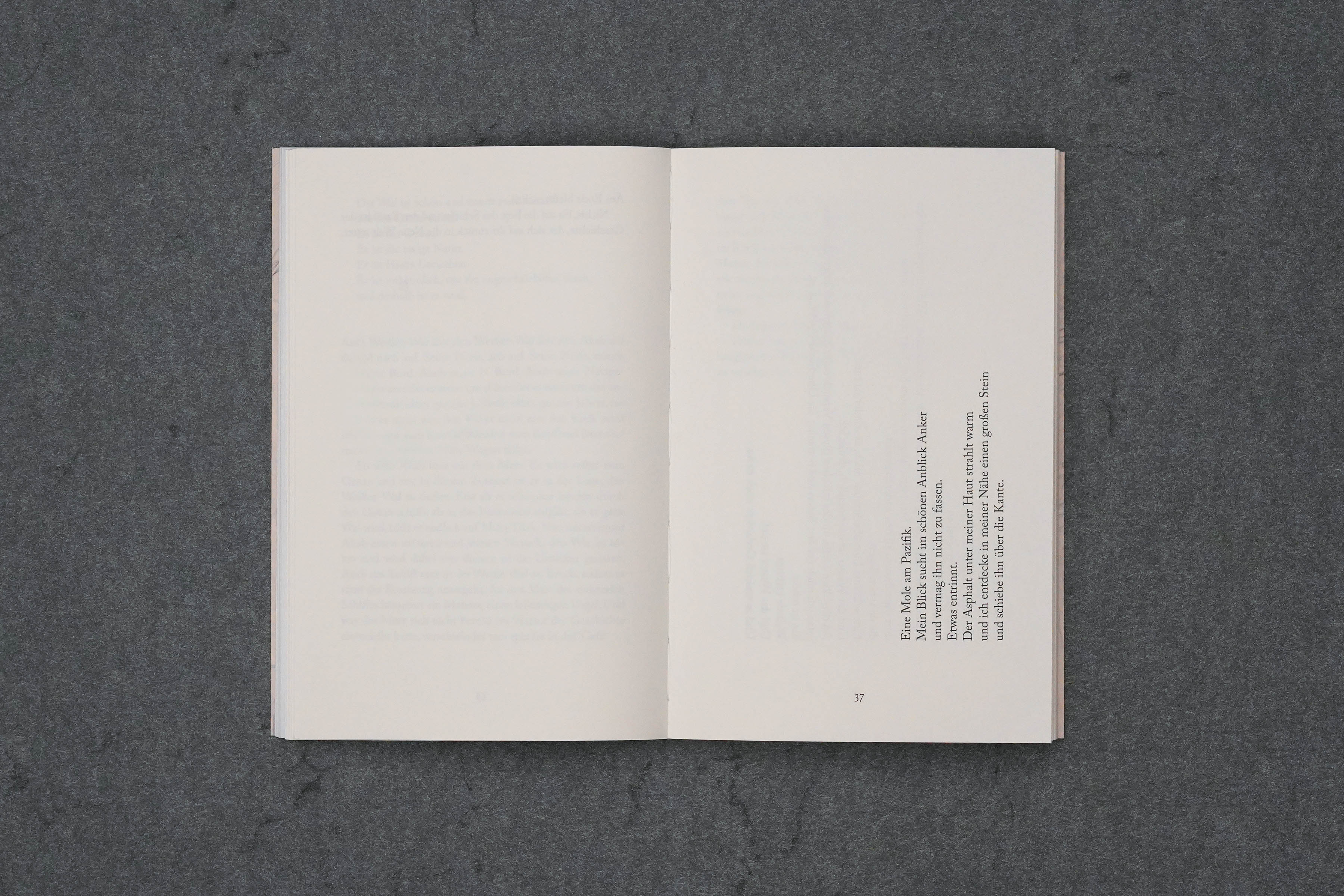 Martin Robert Lutz – Grafikdesign und Buchgestaltung