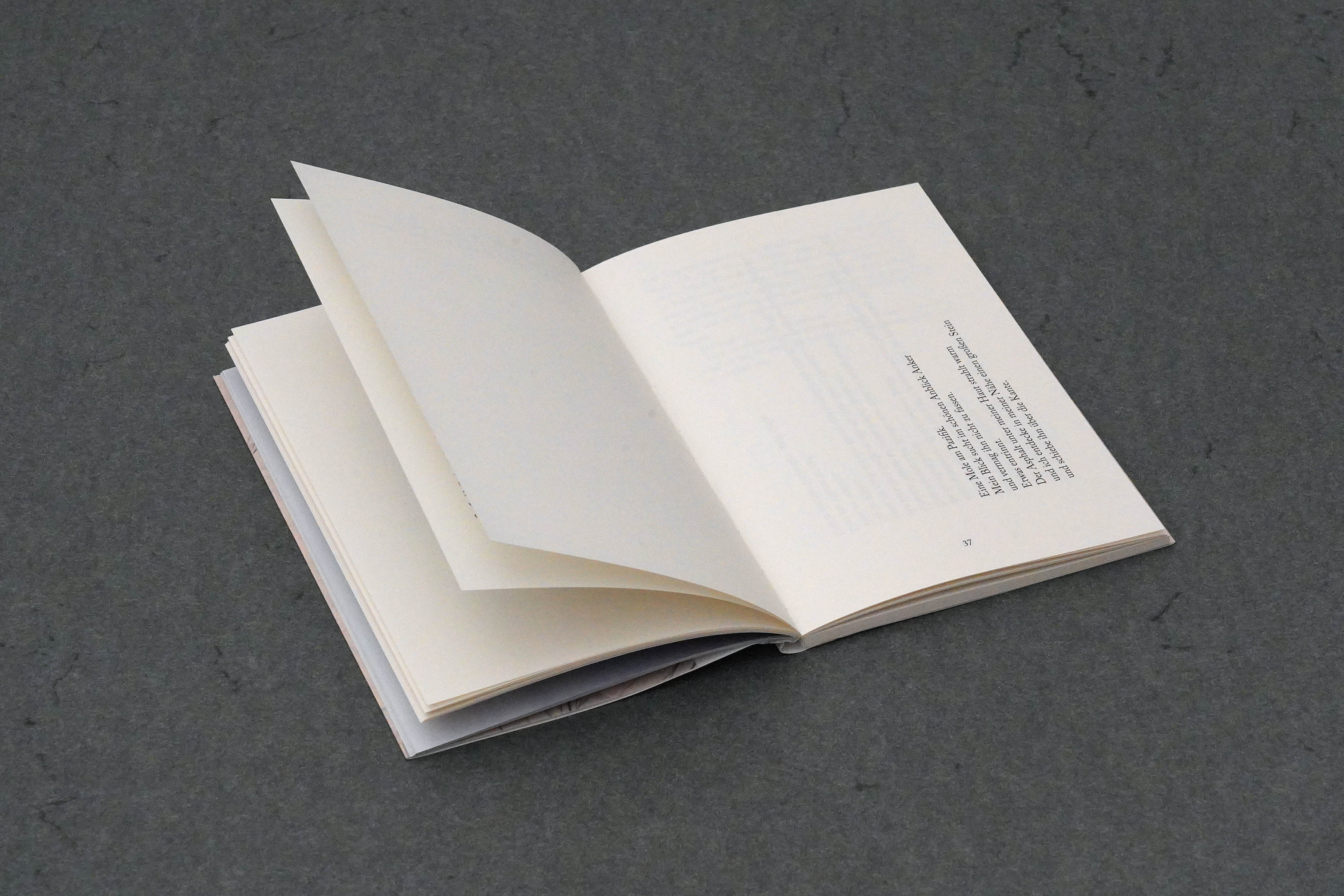 Martin Robert Lutz – Grafikdesign und Buchgestaltung