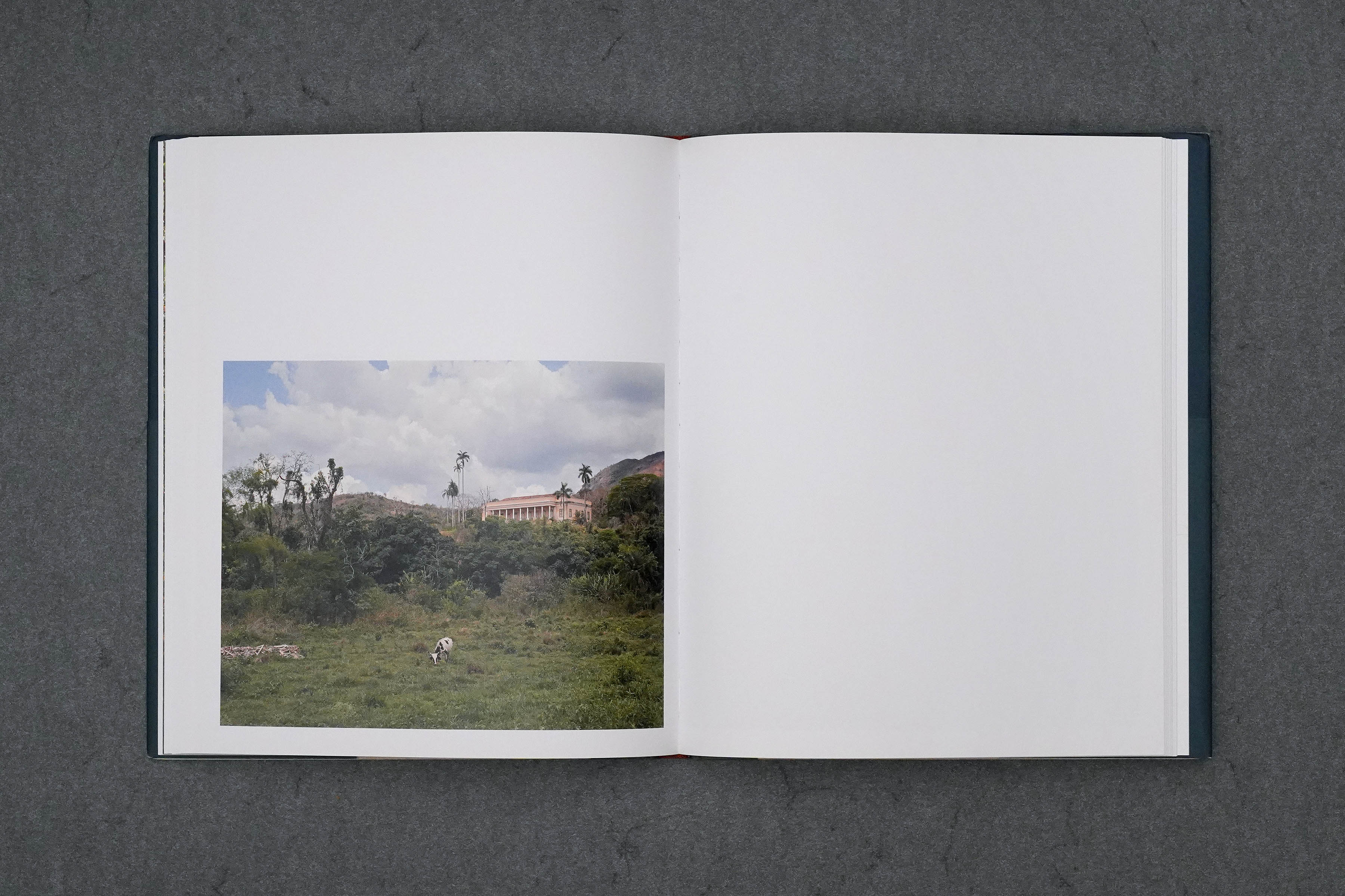 Martin Robert Lutz – Grafikdesign und Buchgestaltung