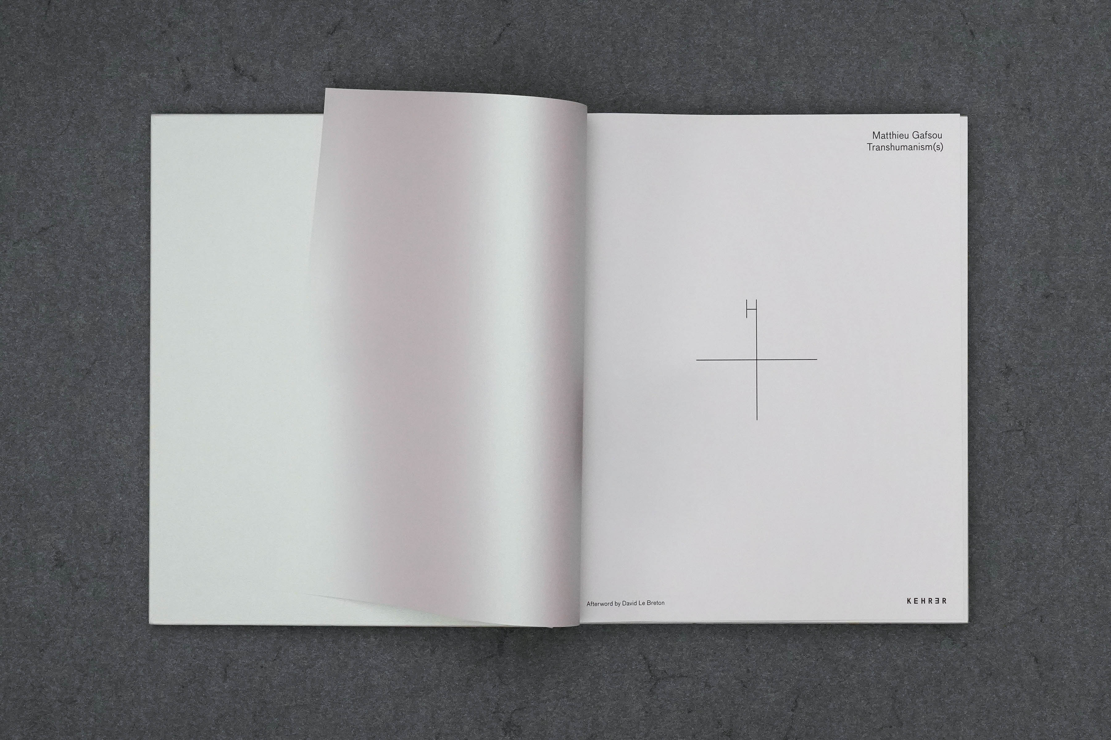 Martin Robert Lutz – Grafikdesign und Buchgestaltung