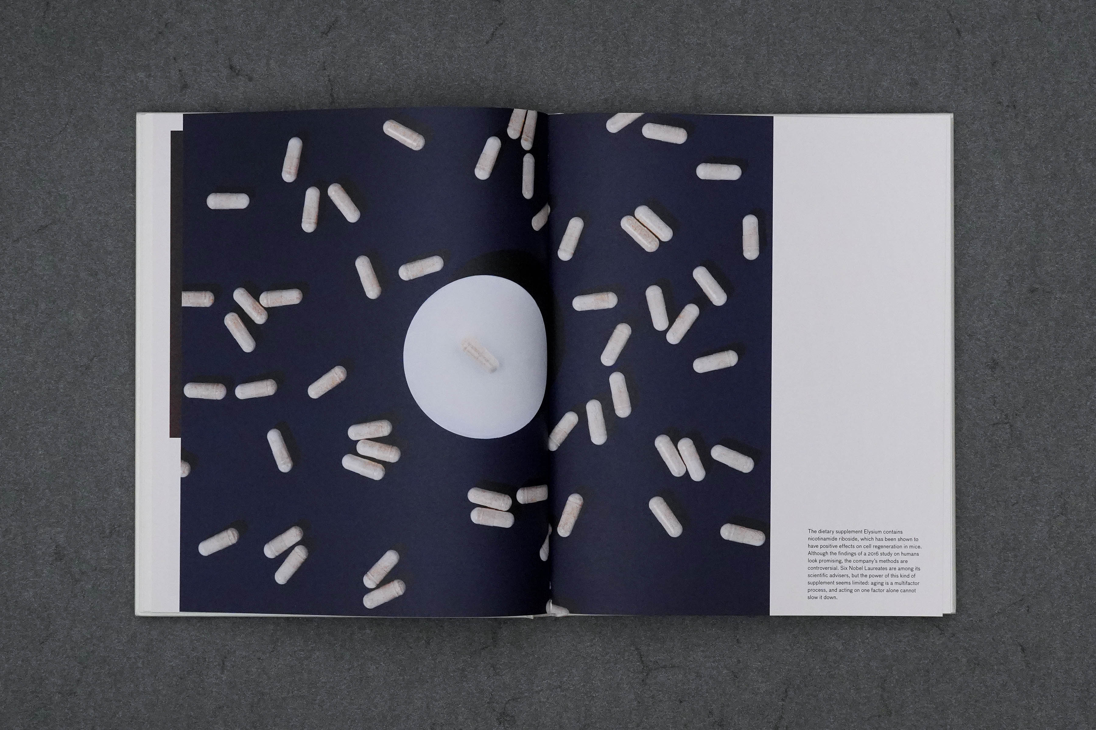 Martin Robert Lutz – Grafikdesign und Buchgestaltung