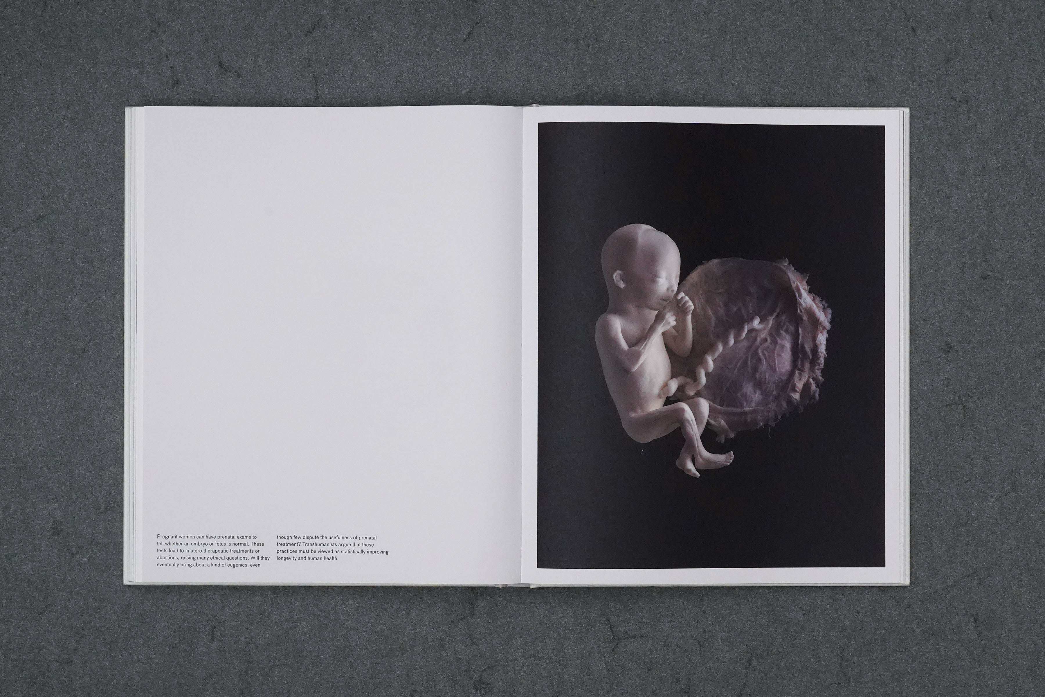 Martin Robert Lutz – Grafikdesign und Buchgestaltung