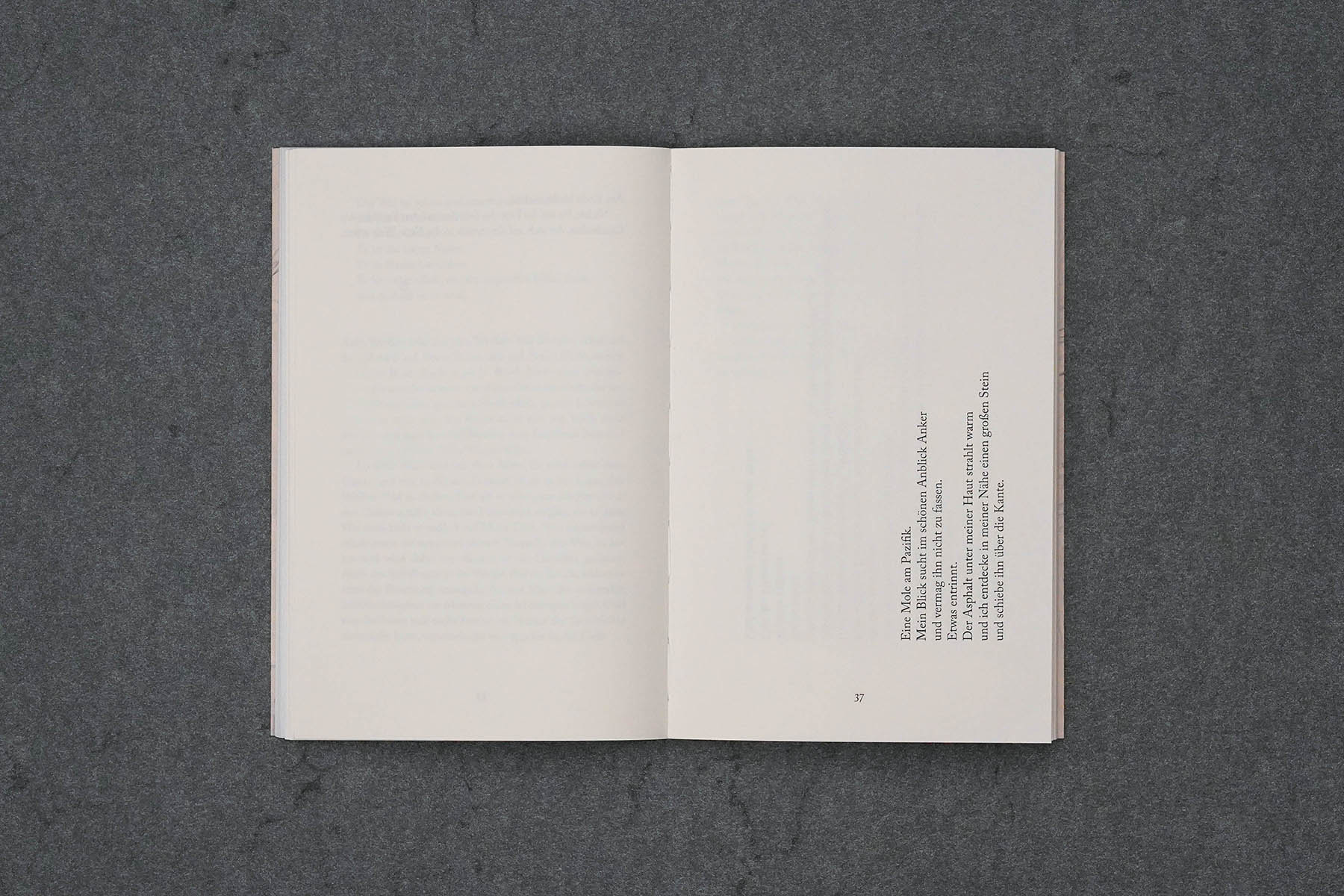 Martin Robert Lutz – Grafikdesign und Buchgestaltung