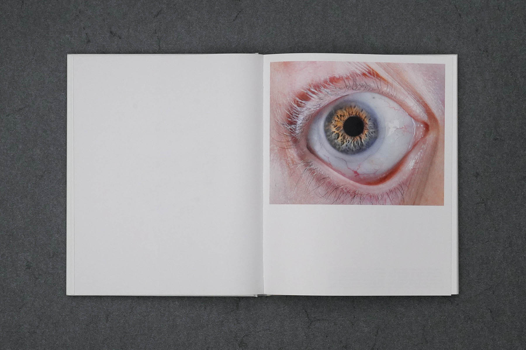 Martin Robert Lutz – Grafikdesign und Buchgestaltung