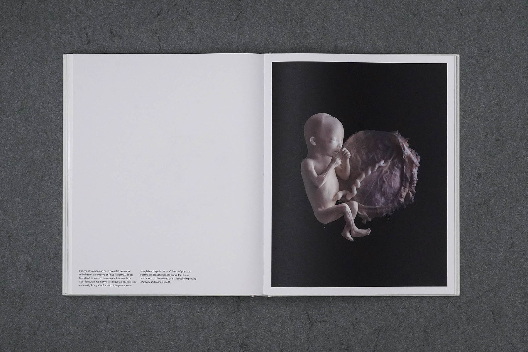 Martin Robert Lutz – Grafikdesign und Buchgestaltung