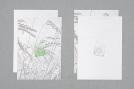  Martin Robert Lutz – Grafikdesign und Buchgestaltung