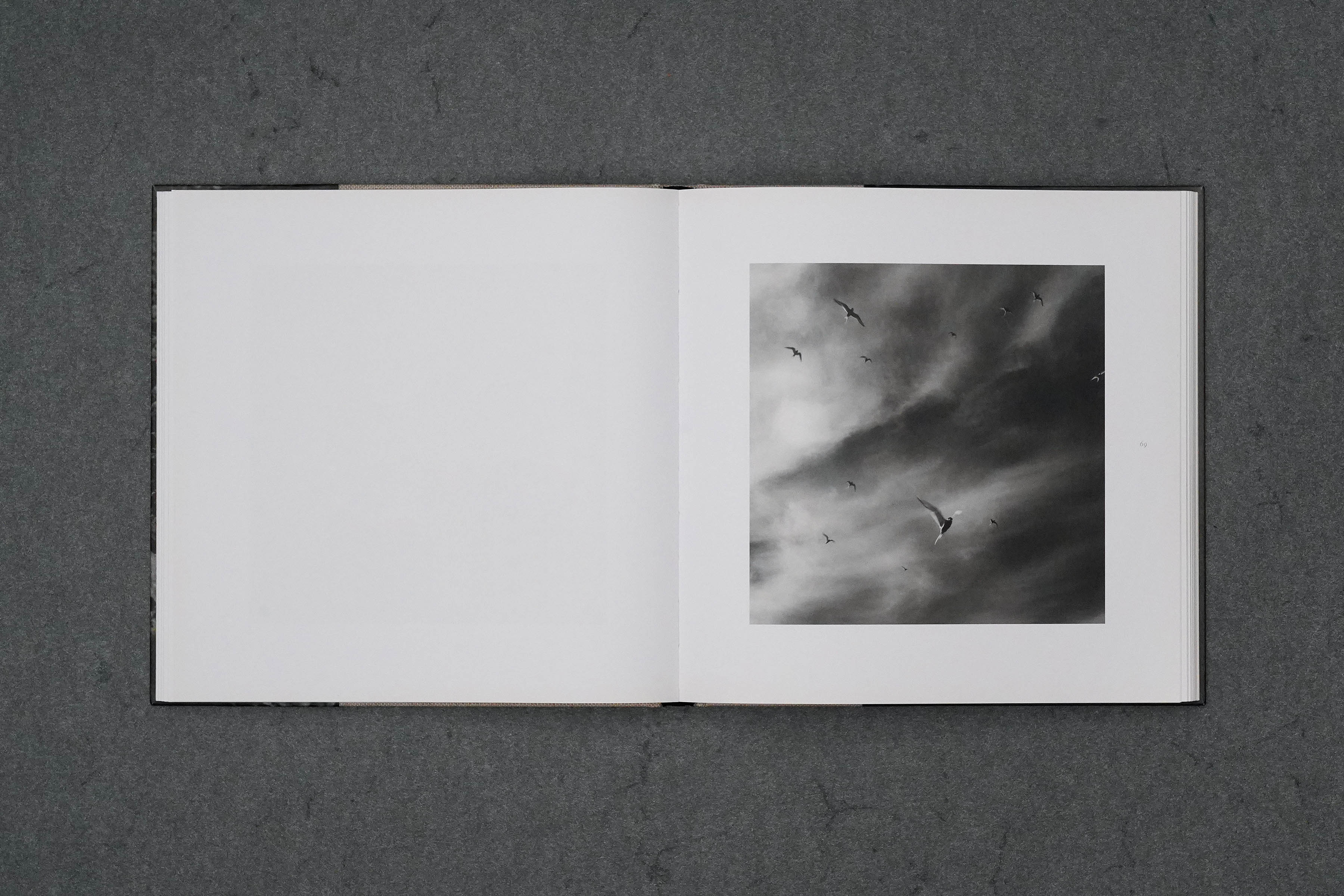 Martin Robert Lutz – Grafikdesign und Buchgestaltung