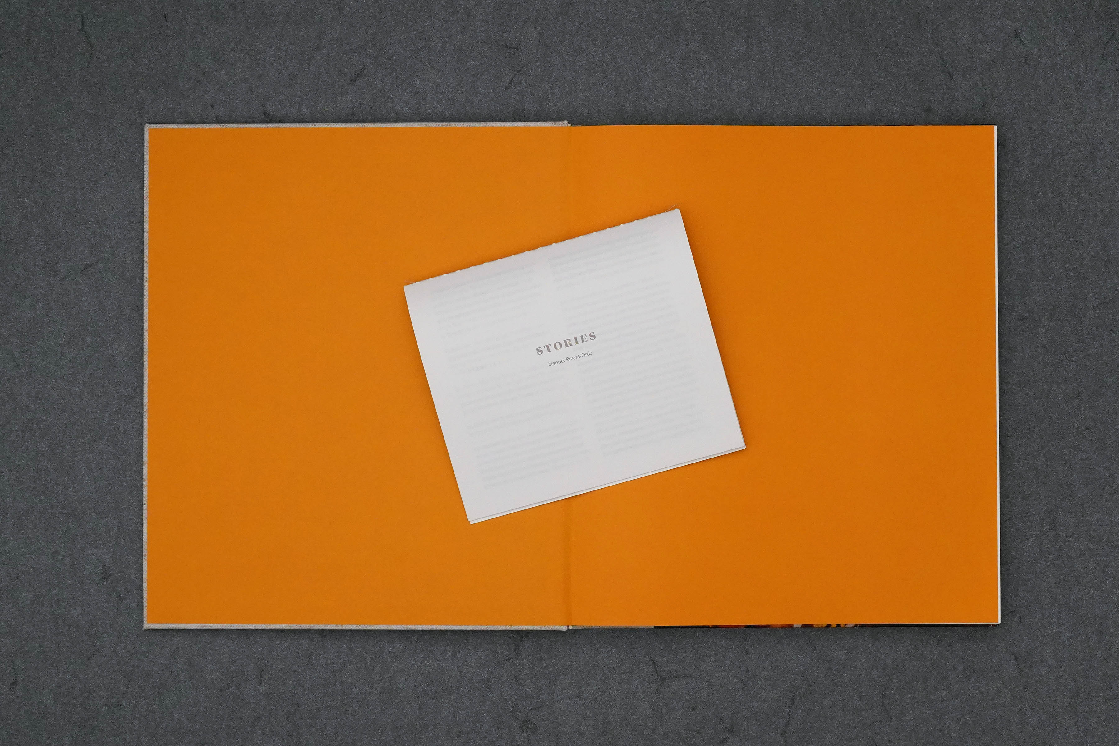 Martin Robert Lutz – Grafikdesign und Buchgestaltung