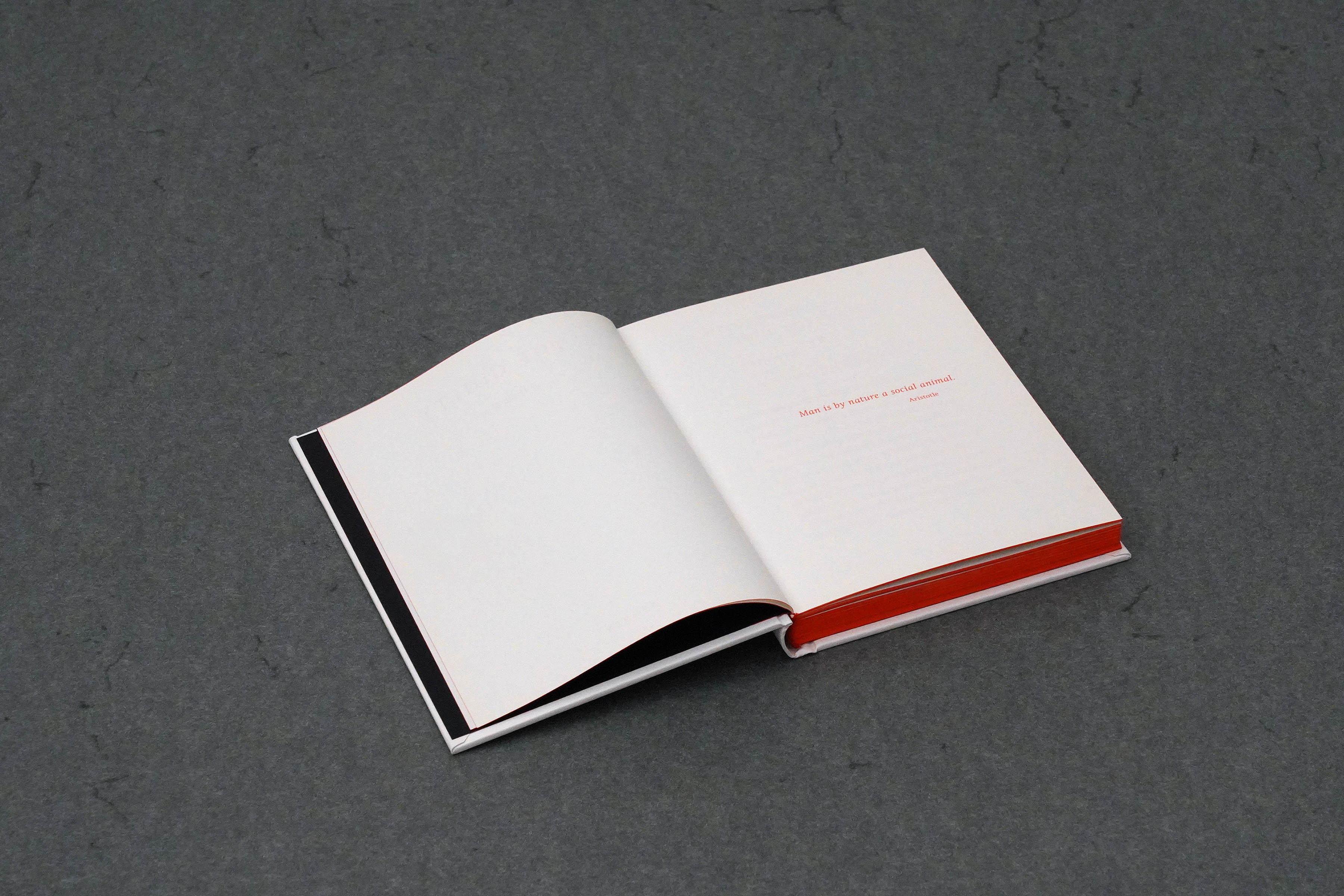 Martin Robert Lutz – Grafikdesign und Buchgestaltung