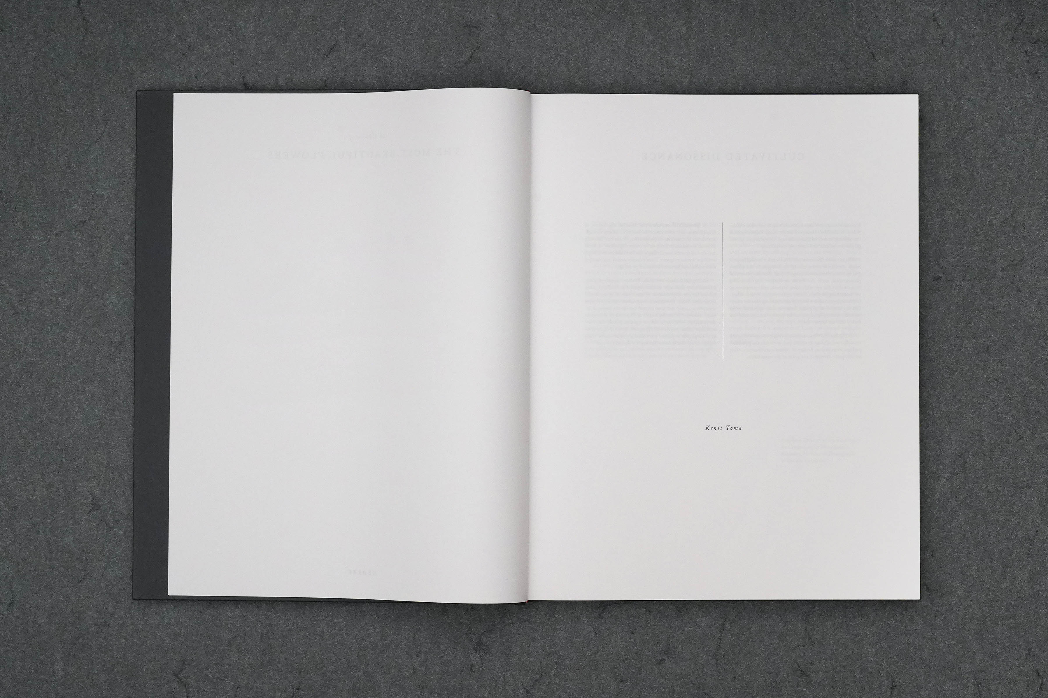 Martin Robert Lutz – Grafikdesign und Buchgestaltung