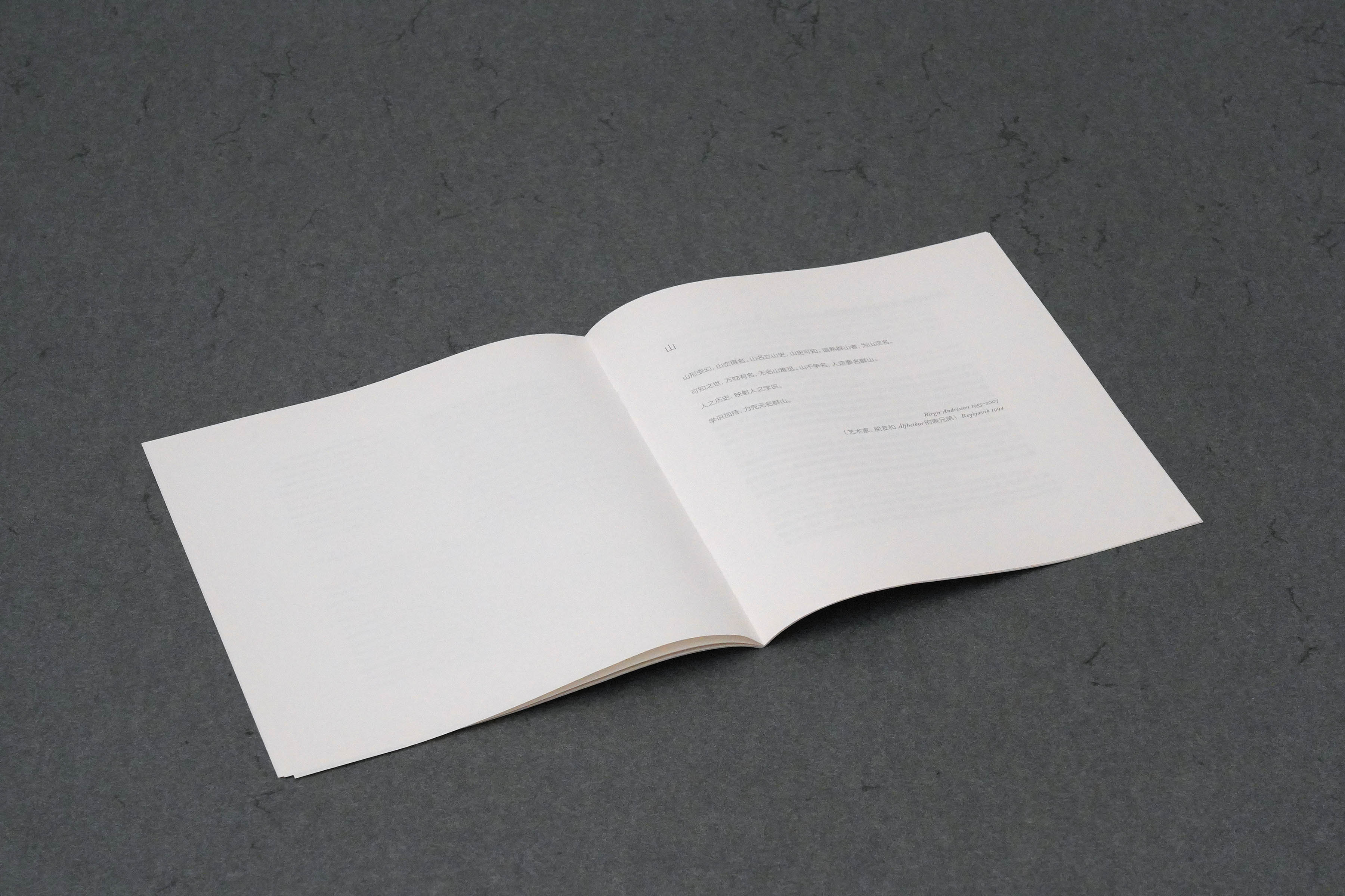 Martin Robert Lutz – Grafikdesign und Buchgestaltung