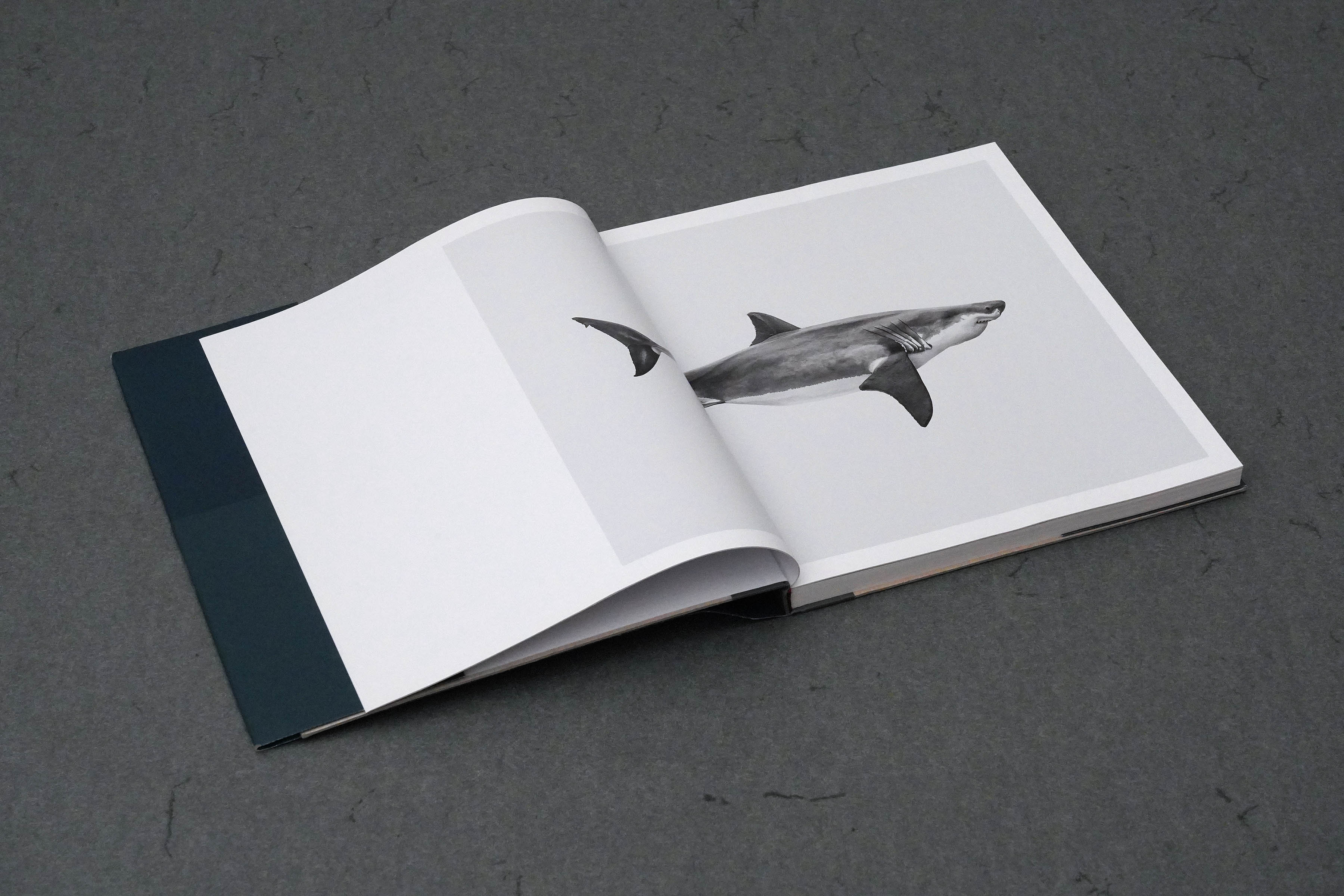 Martin Robert Lutz – Grafikdesign und Buchgestaltung