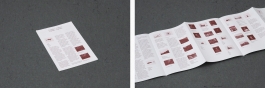  Martin Robert Lutz – Grafikdesign und Buchgestaltung