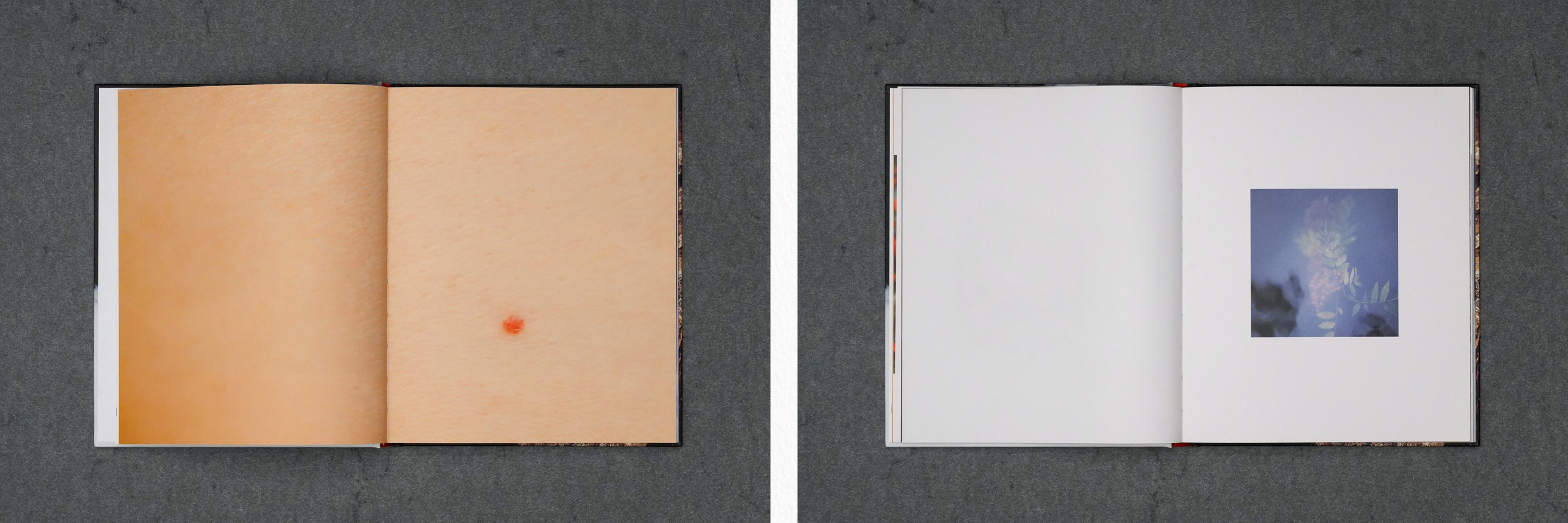  Martin Robert Lutz – Grafikdesign und Buchgestaltung