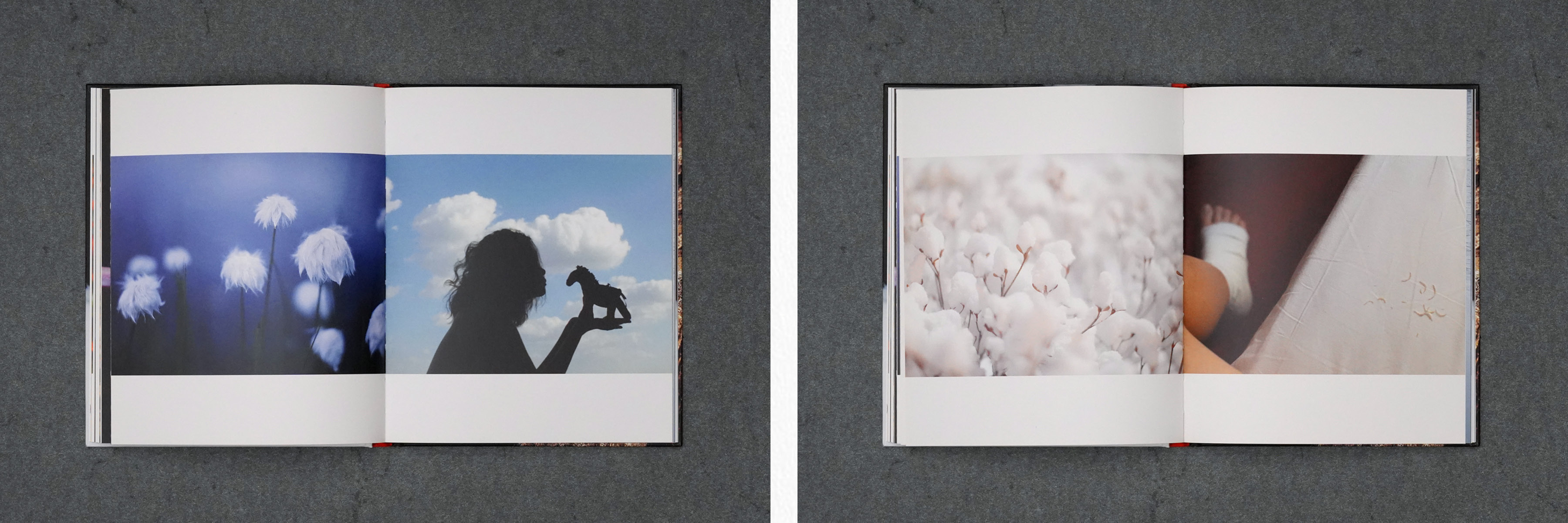  Martin Robert Lutz – Grafikdesign und Buchgestaltung