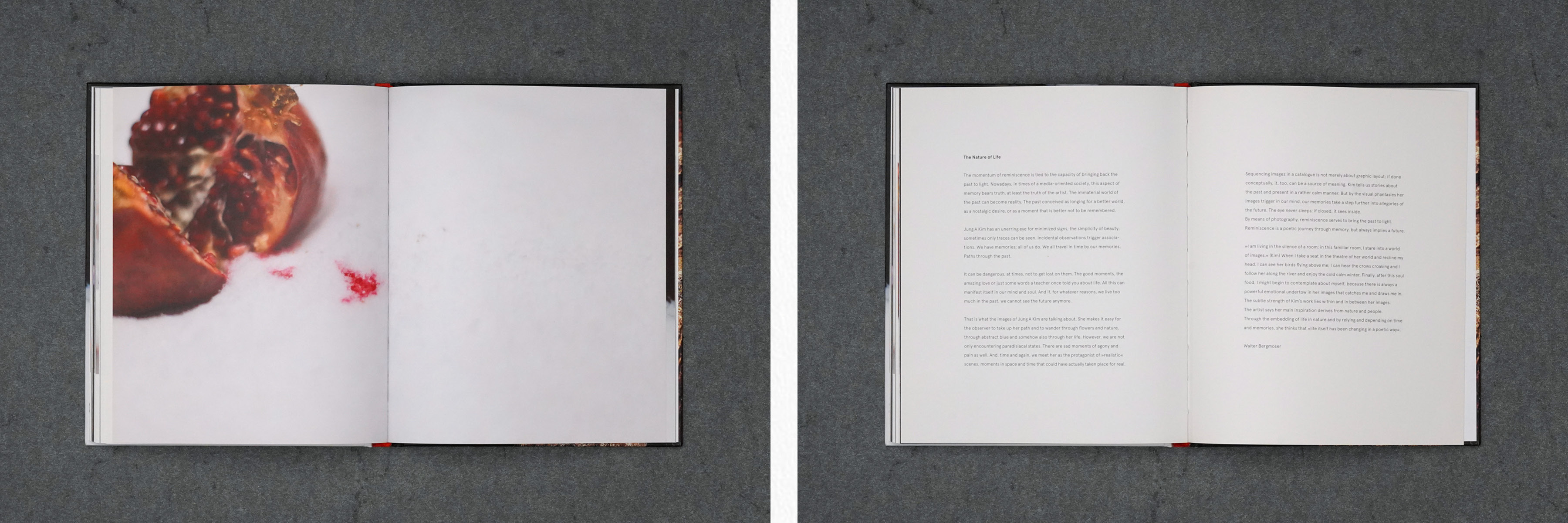  Martin Robert Lutz – Grafikdesign und Buchgestaltung