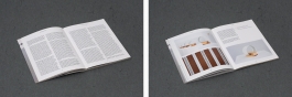  Martin Robert Lutz – Grafikdesign und Buchgestaltung