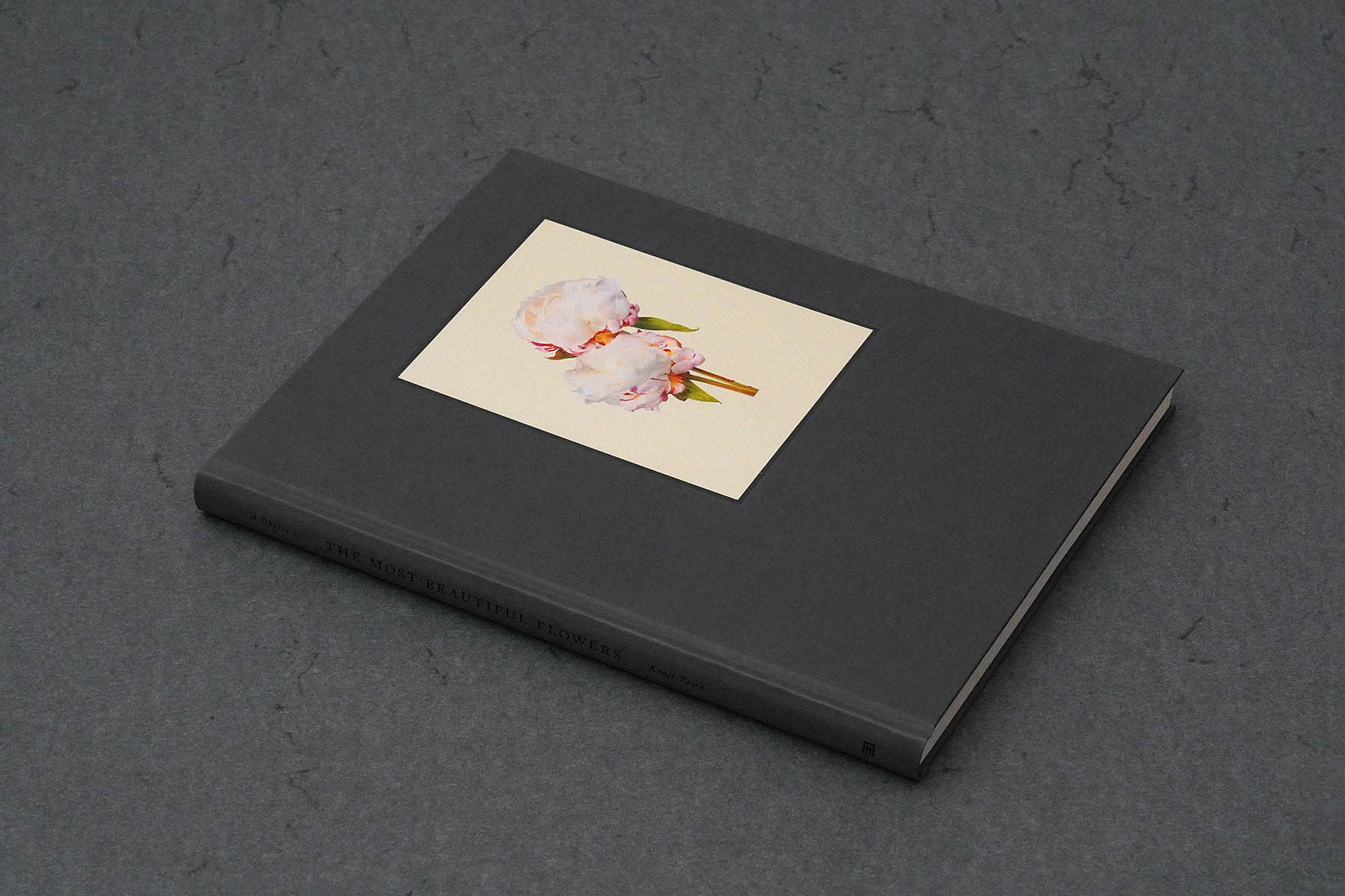 Martin Robert Lutz – Grafikdesign und Buchgestaltung