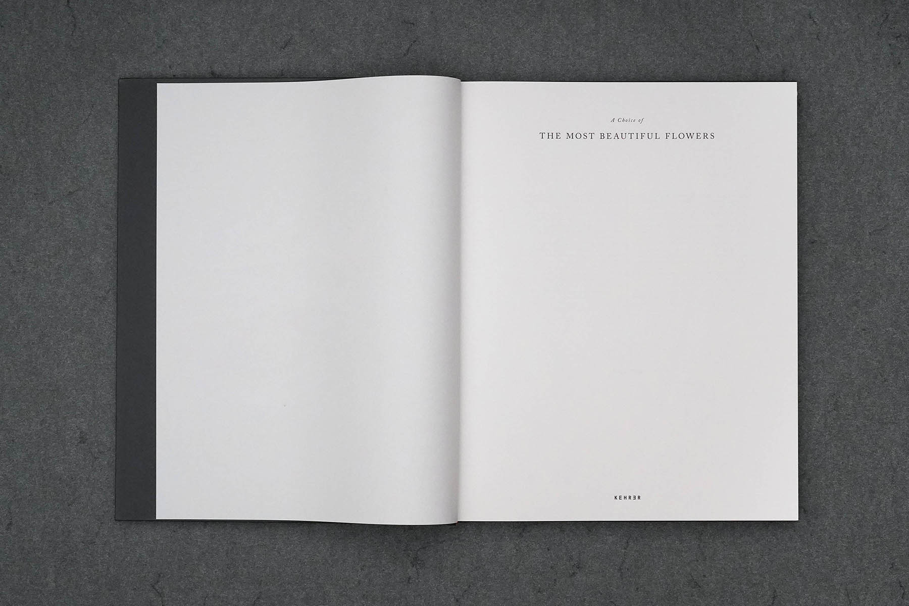 Martin Robert Lutz – Grafikdesign und Buchgestaltung