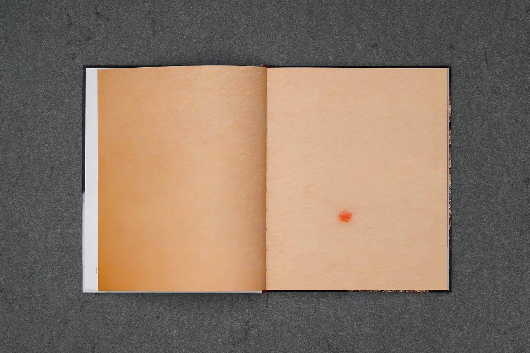 Martin Robert Lutz – Grafikdesign und Buchgestaltung