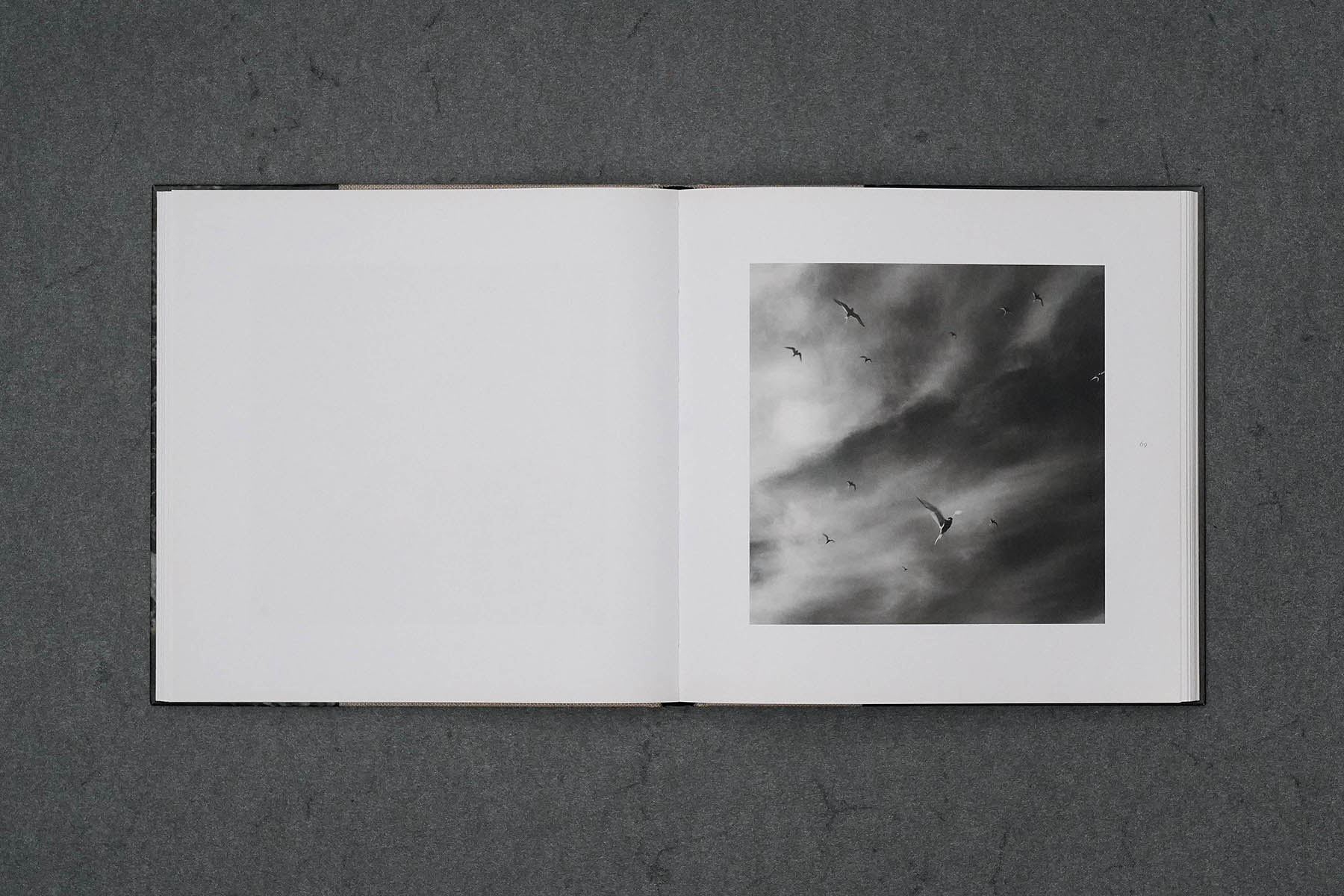 Martin Robert Lutz – Grafikdesign und Buchgestaltung