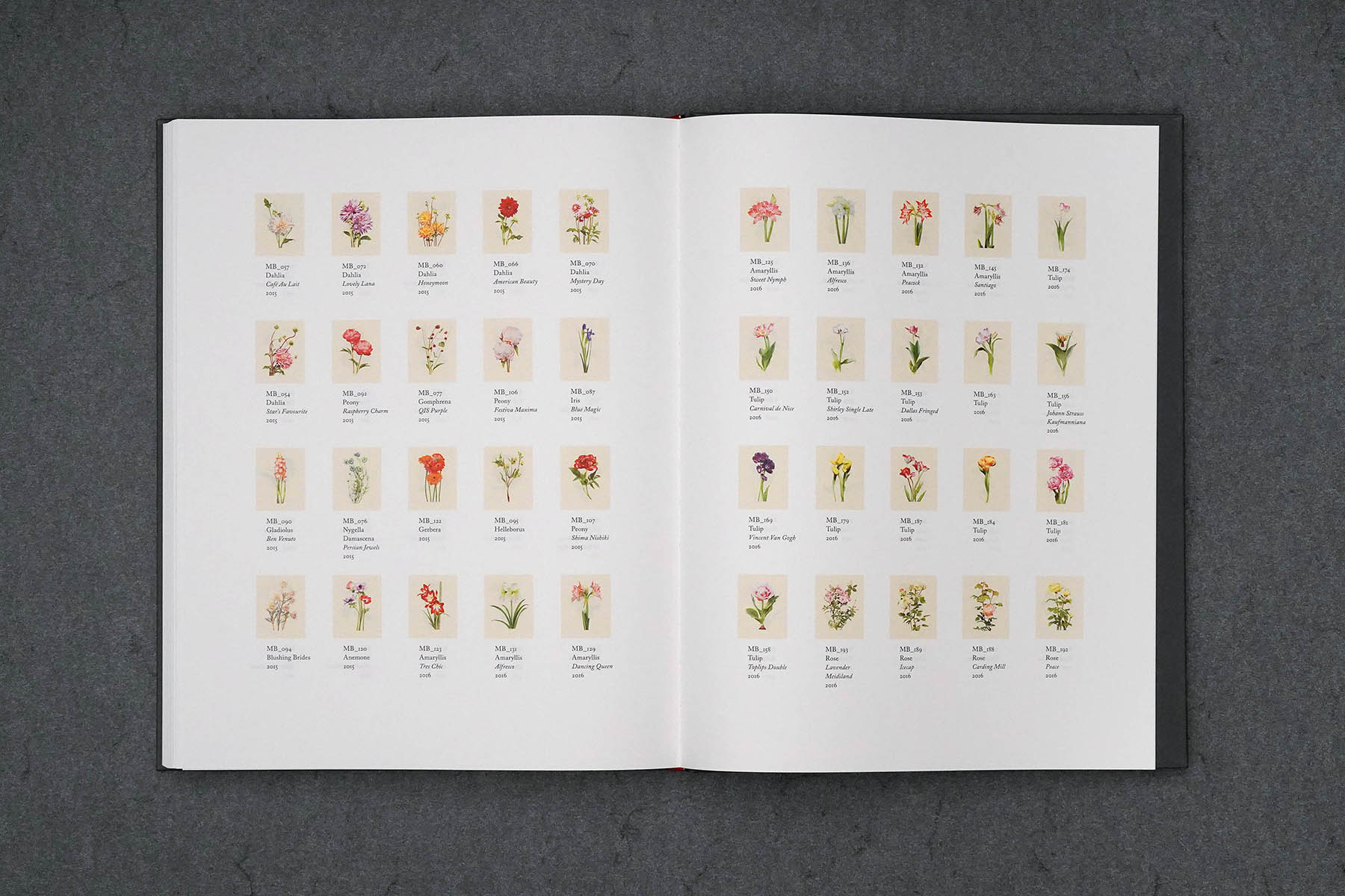 Martin Robert Lutz – Grafikdesign und Buchgestaltung