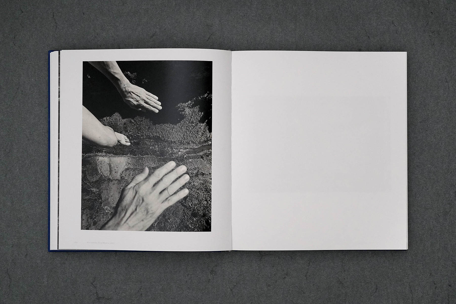 Martin Robert Lutz – Grafikdesign und Buchgestaltung