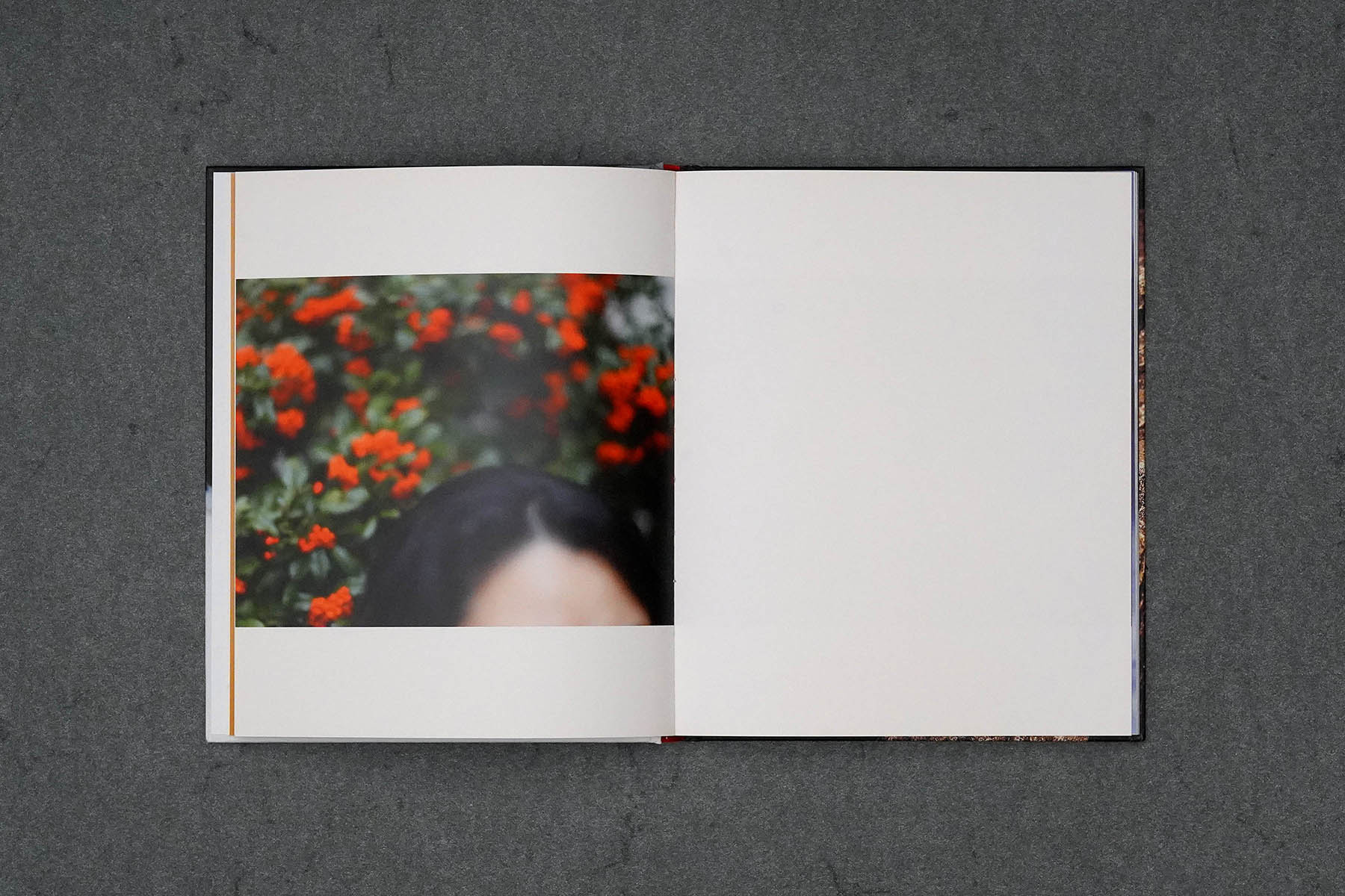 Martin Robert Lutz – Grafikdesign und Buchgestaltung