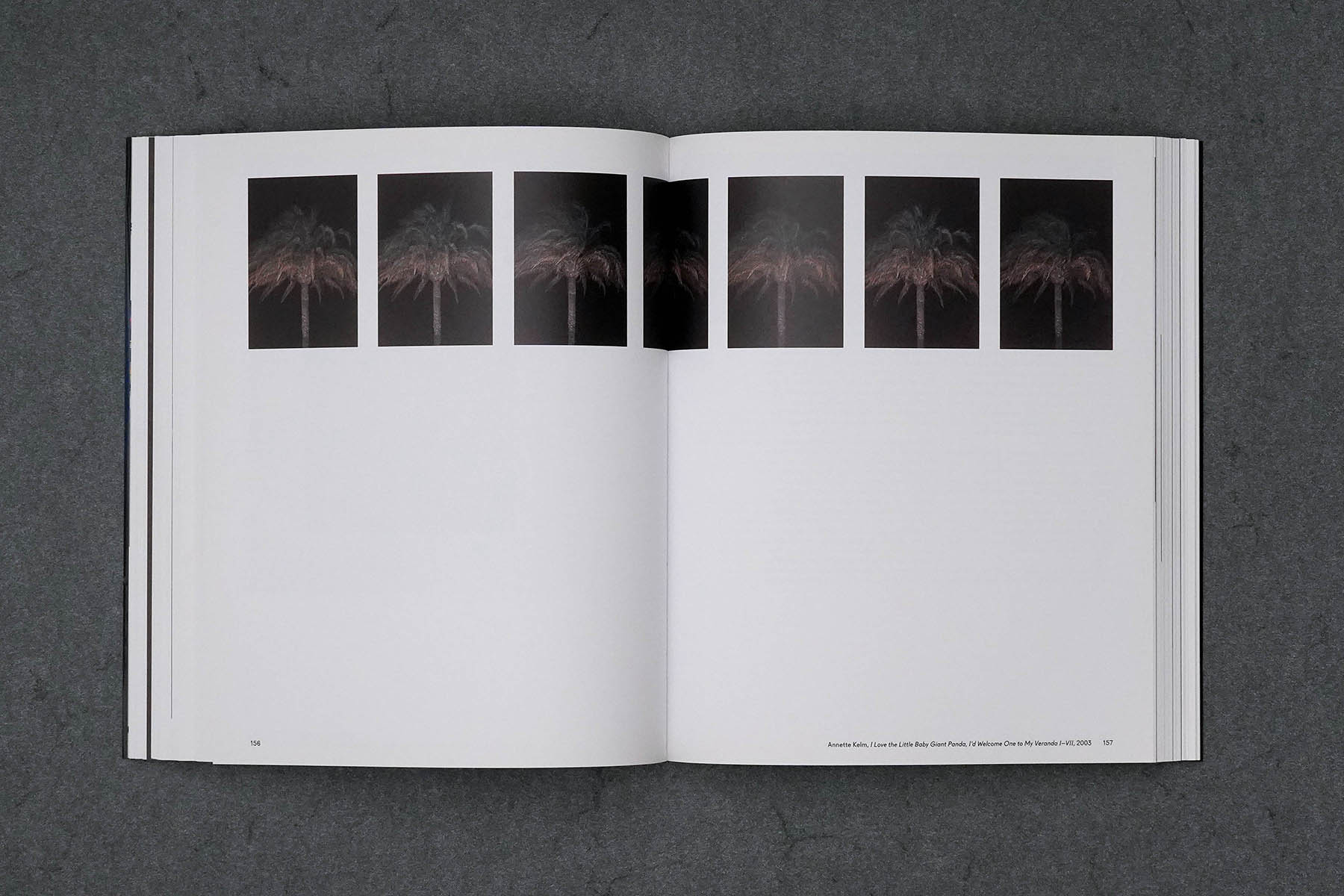 Martin Robert Lutz – Grafikdesign und Buchgestaltung