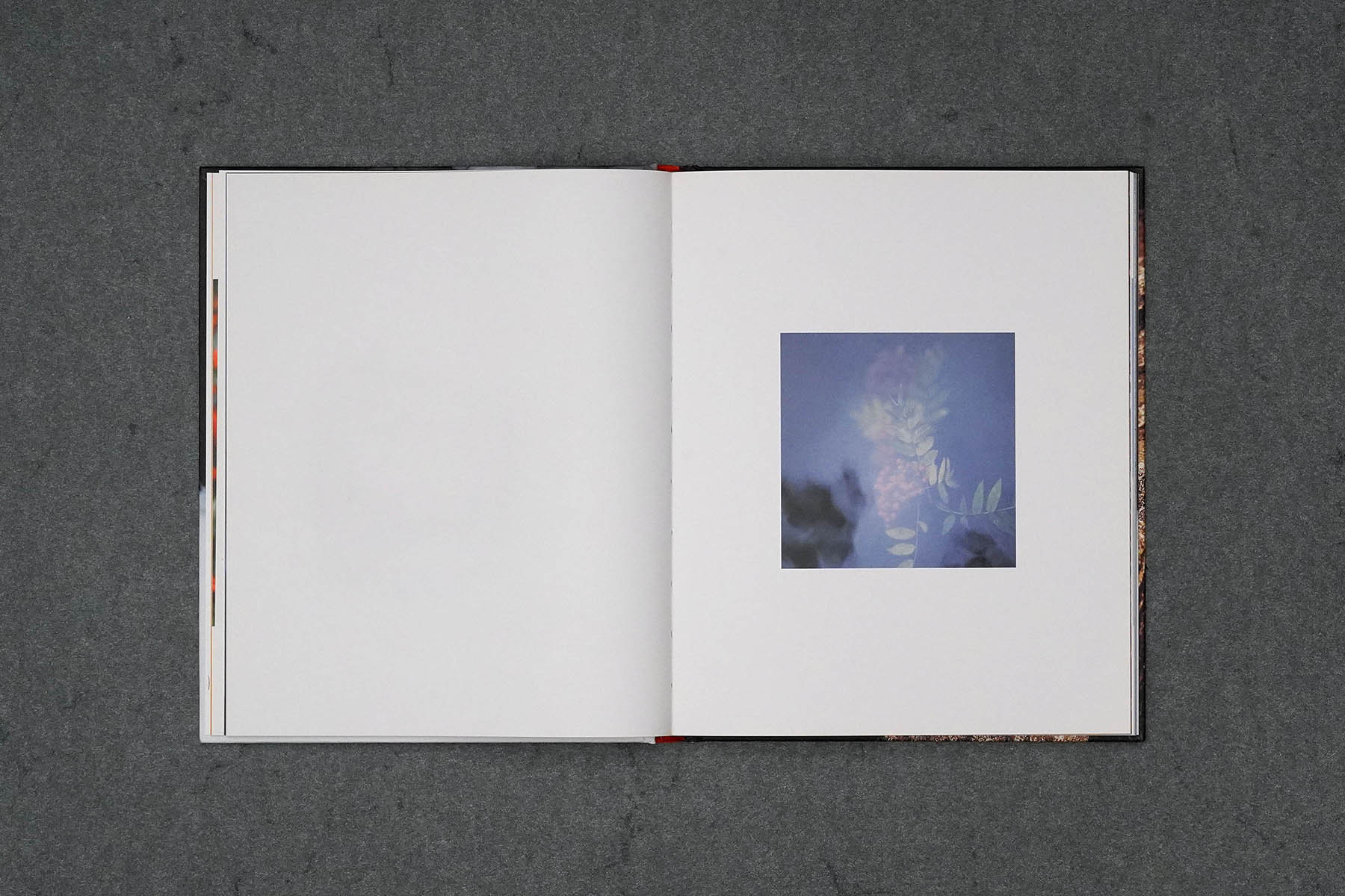 Martin Robert Lutz – Grafikdesign und Buchgestaltung