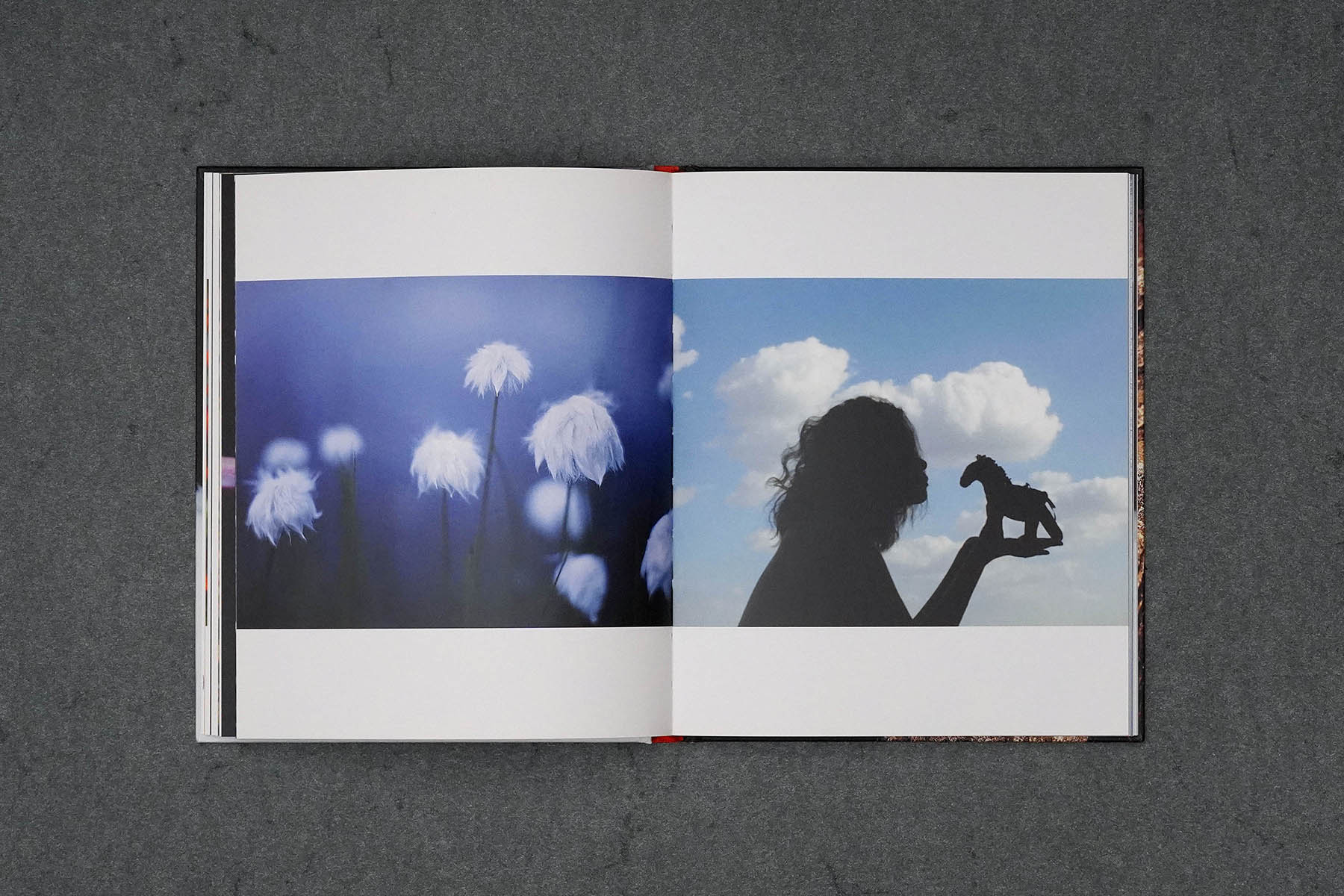 Martin Robert Lutz – Grafikdesign und Buchgestaltung