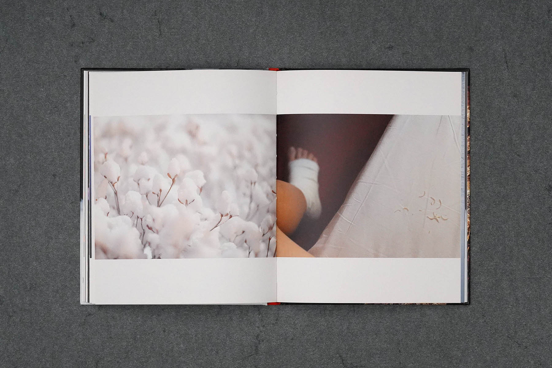 Martin Robert Lutz – Grafikdesign und Buchgestaltung