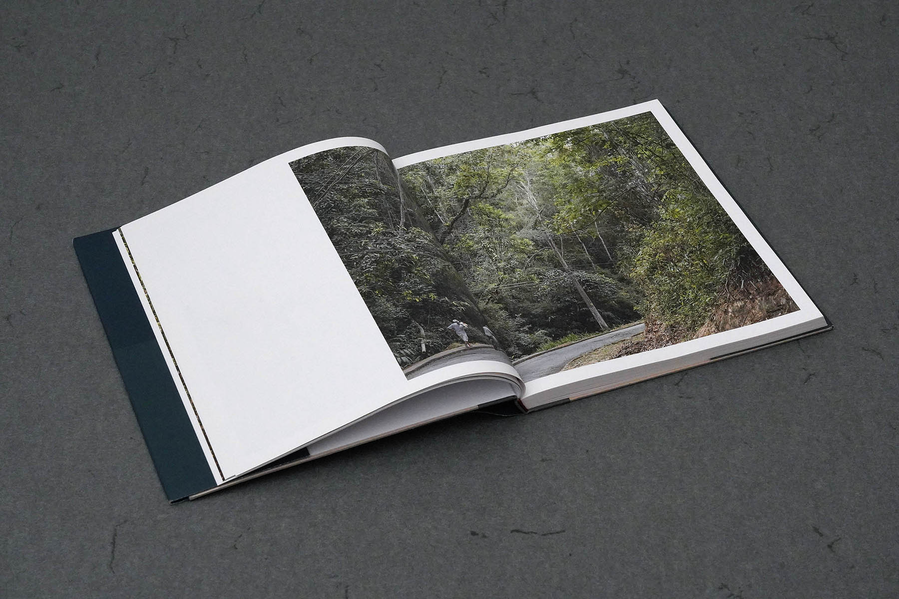 Martin Robert Lutz – Grafikdesign und Buchgestaltung