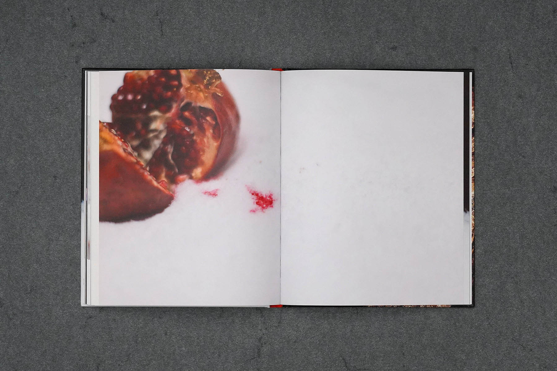 Martin Robert Lutz – Grafikdesign und Buchgestaltung