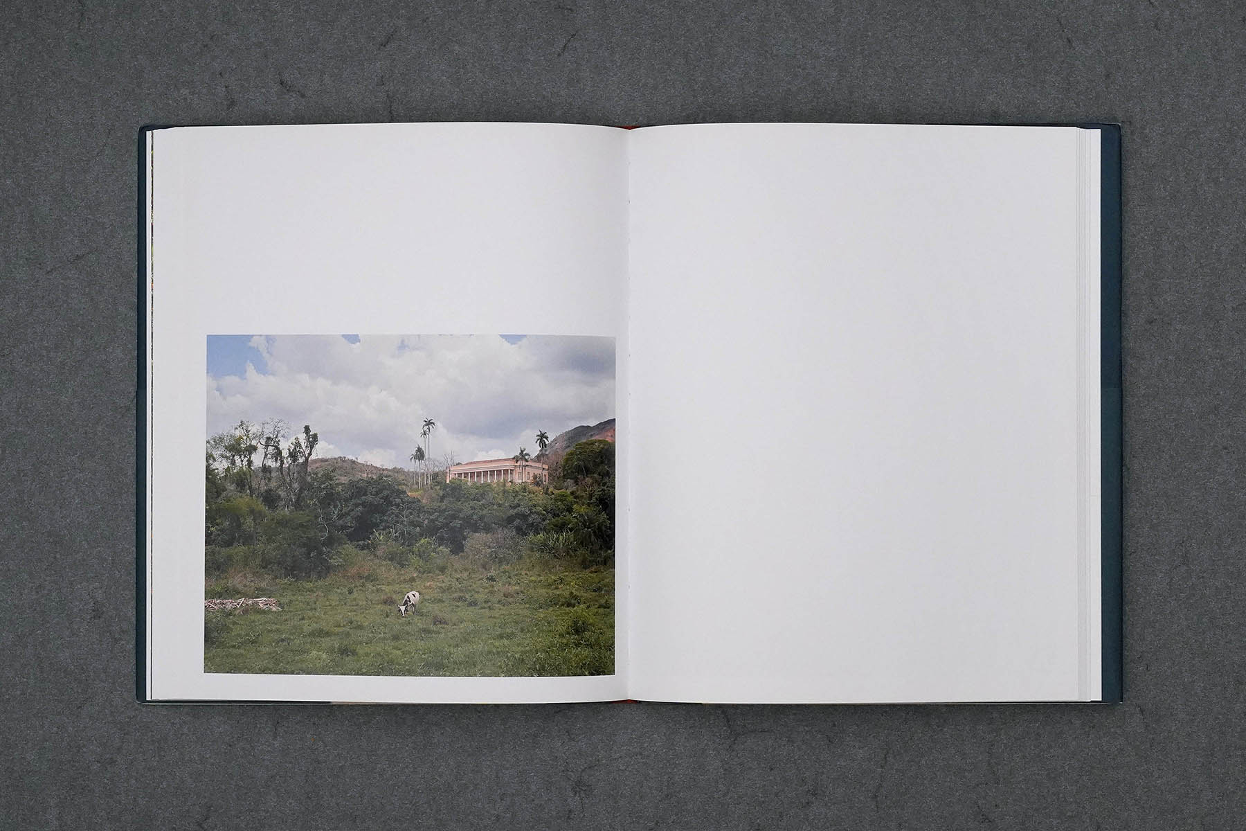 Martin Robert Lutz – Grafikdesign und Buchgestaltung