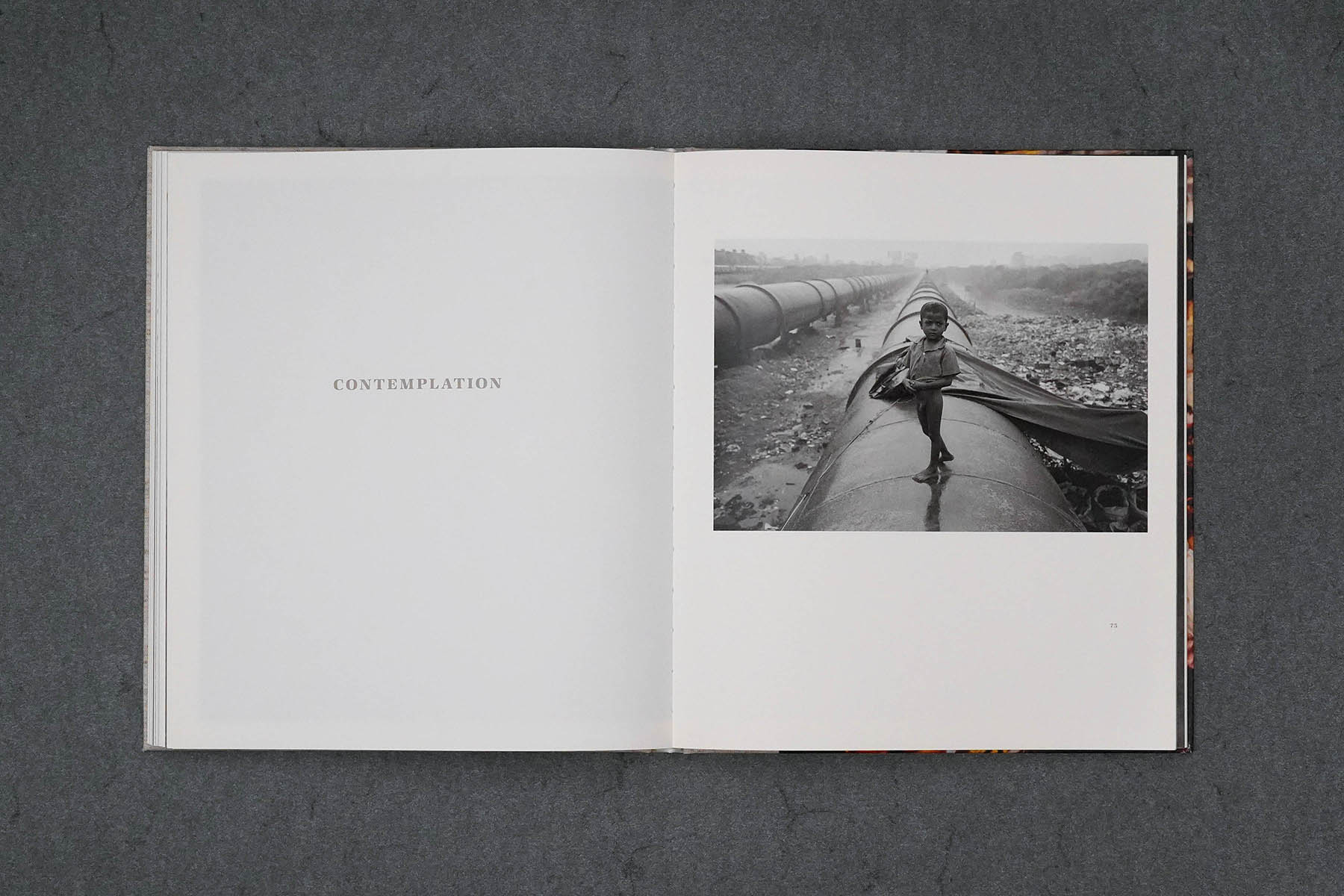 Martin Robert Lutz – Grafikdesign und Buchgestaltung