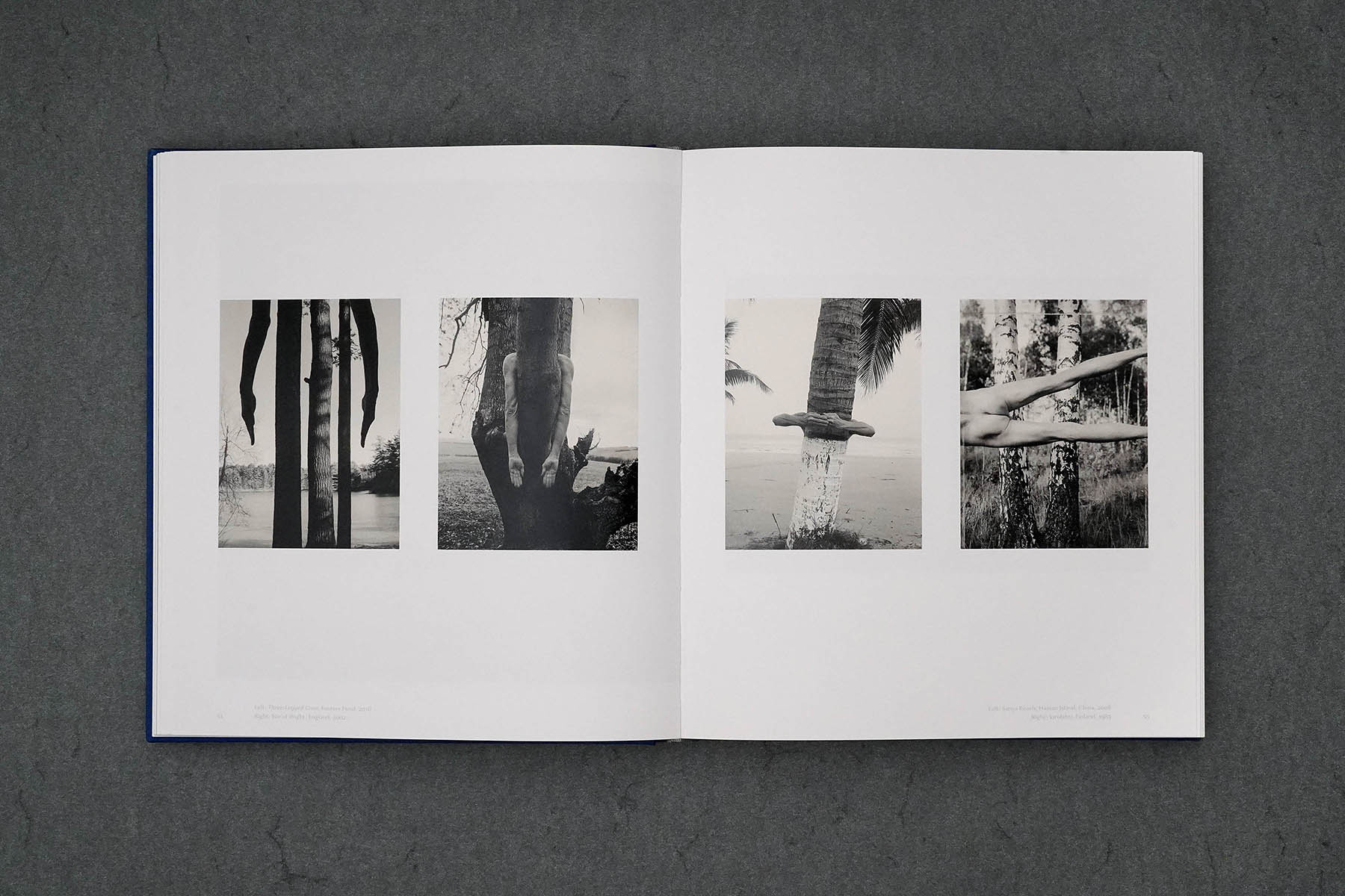 Martin Robert Lutz – Grafikdesign und Buchgestaltung