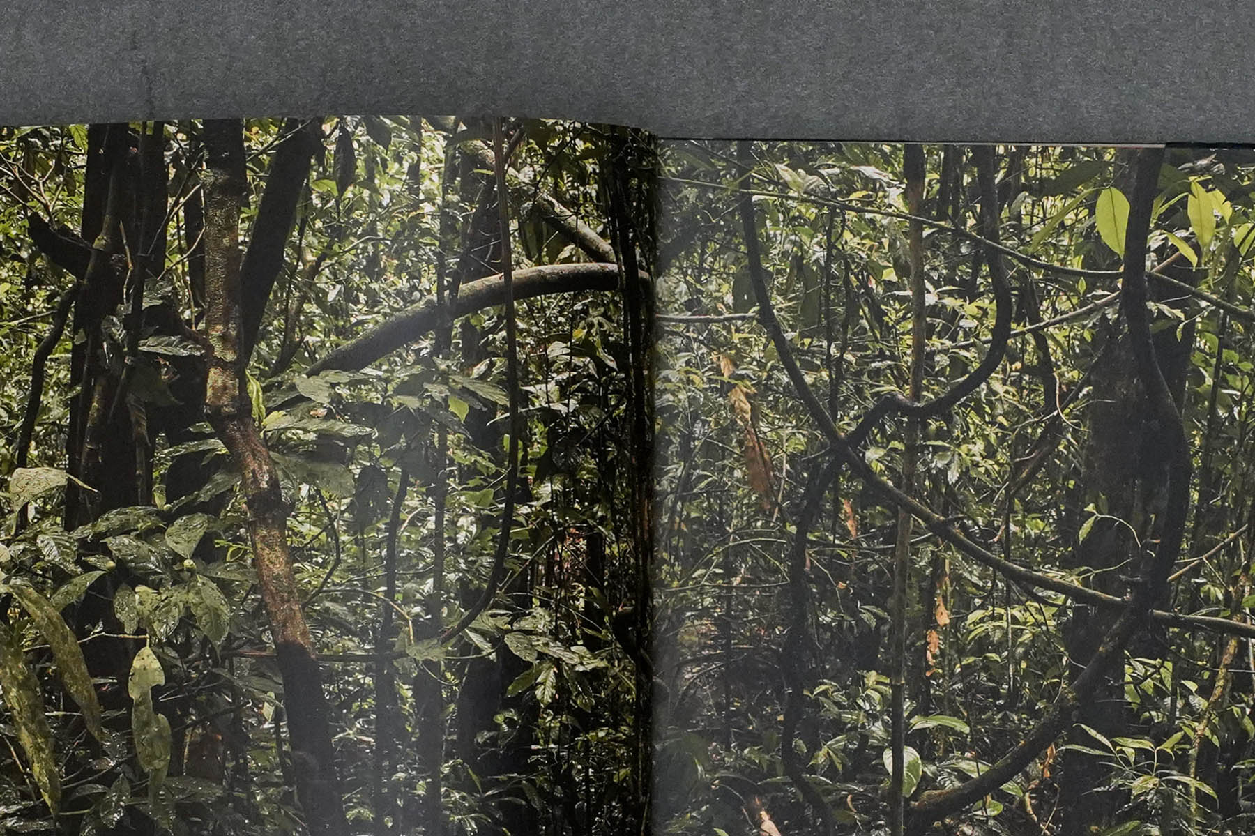 Martin Robert Lutz – Grafikdesign und Buchgestaltung