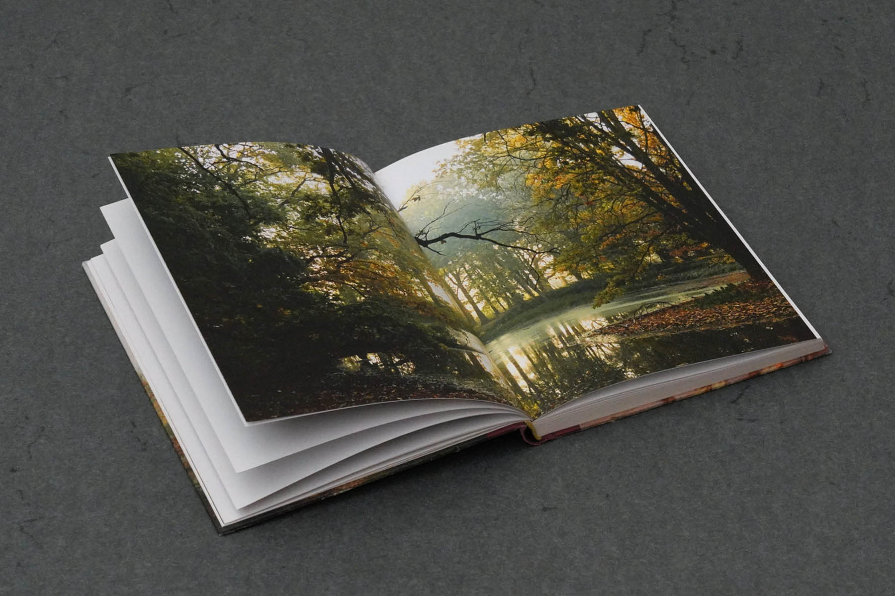 Martin Robert Lutz – Grafikdesign und Buchgestaltung