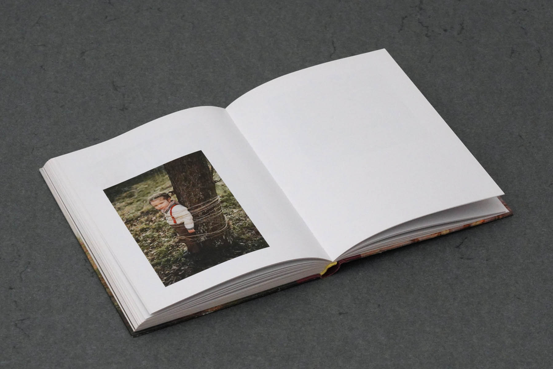 Martin Robert Lutz – Grafikdesign und Buchgestaltung