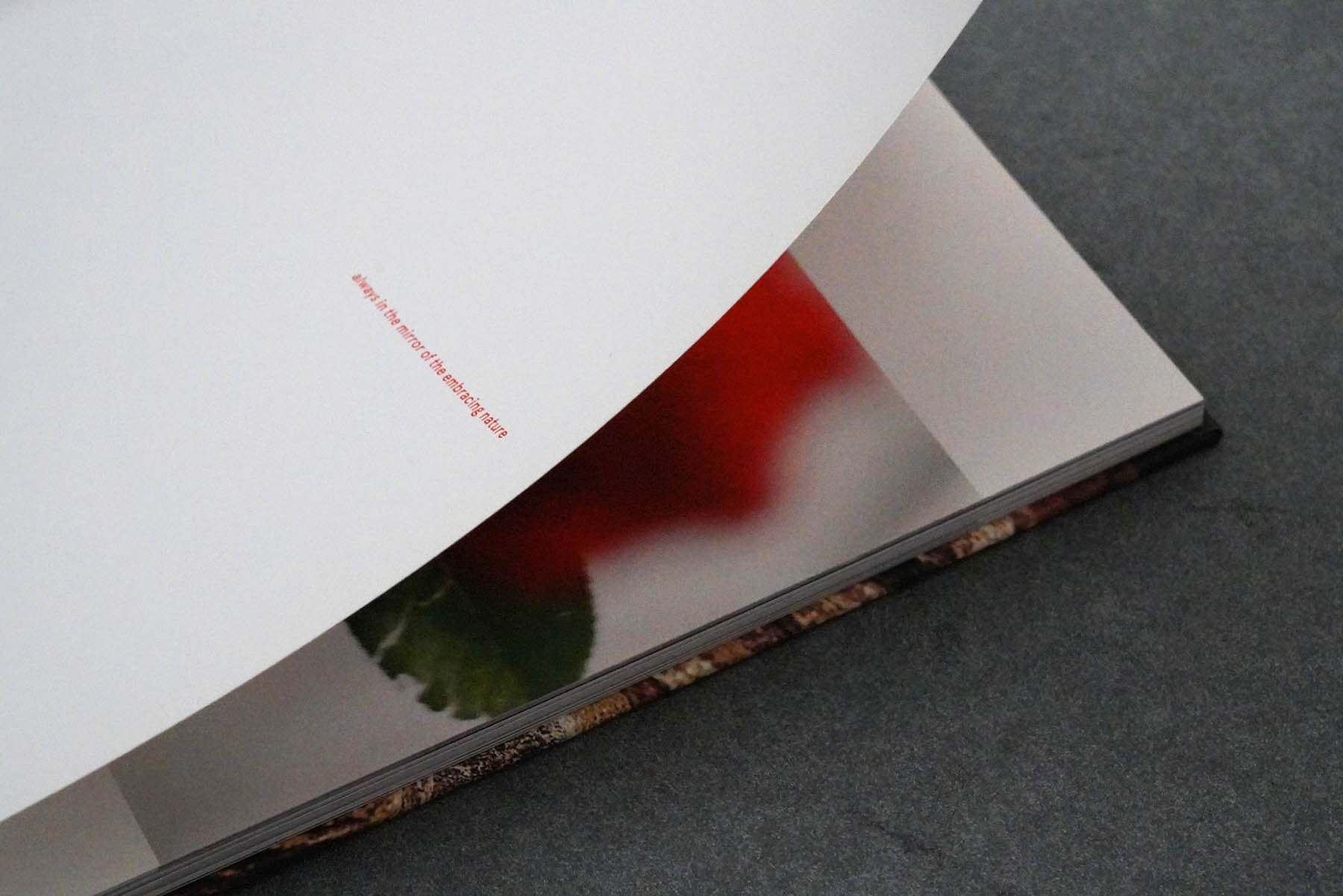 Martin Robert Lutz – Grafikdesign und Buchgestaltung