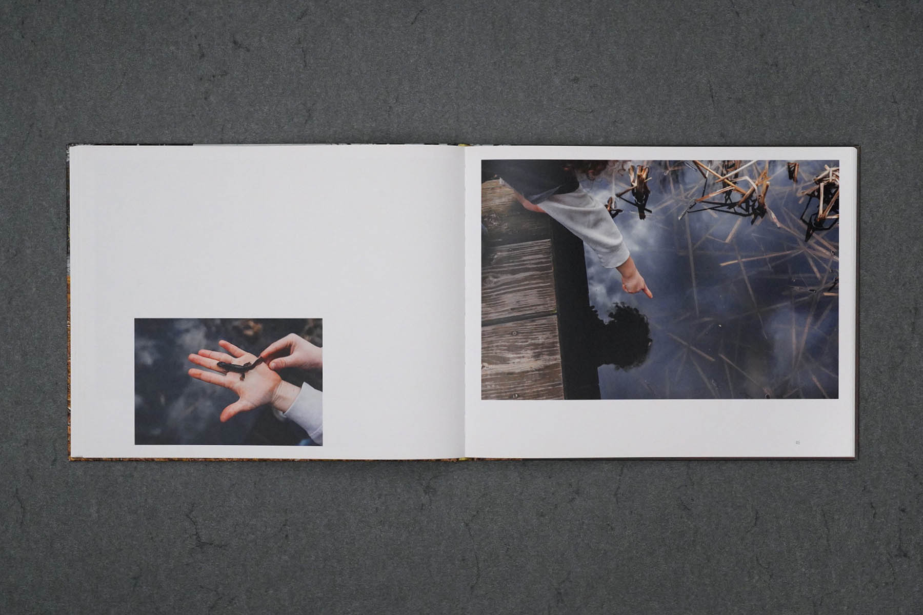 Martin Robert Lutz – Grafikdesign und Buchgestaltung