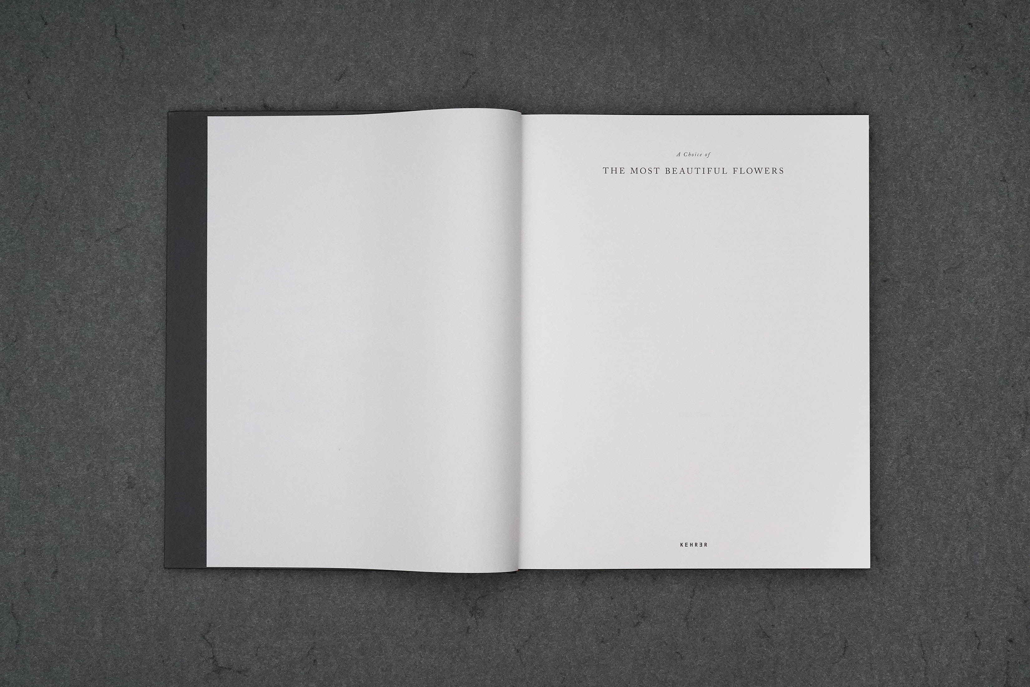 Martin Robert Lutz – Grafikdesign und Buchgestaltung